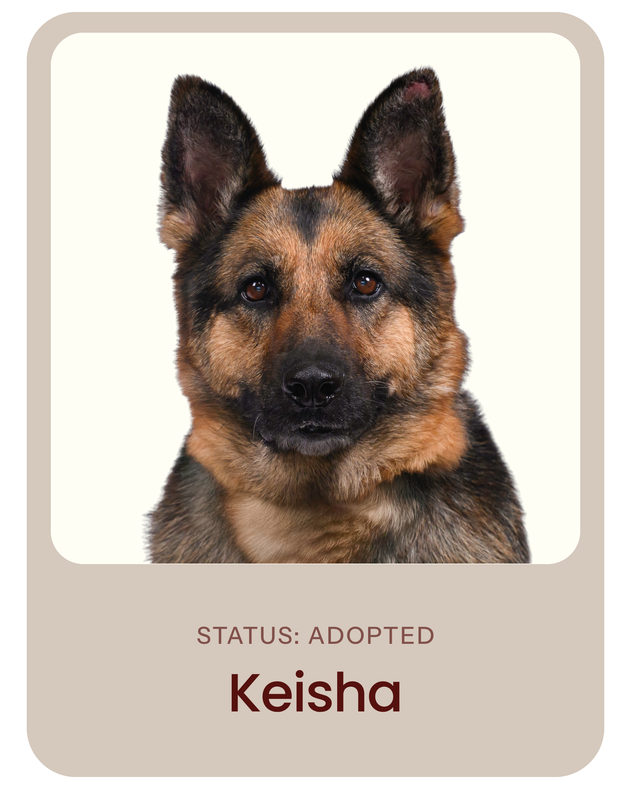 I've been adopted!
