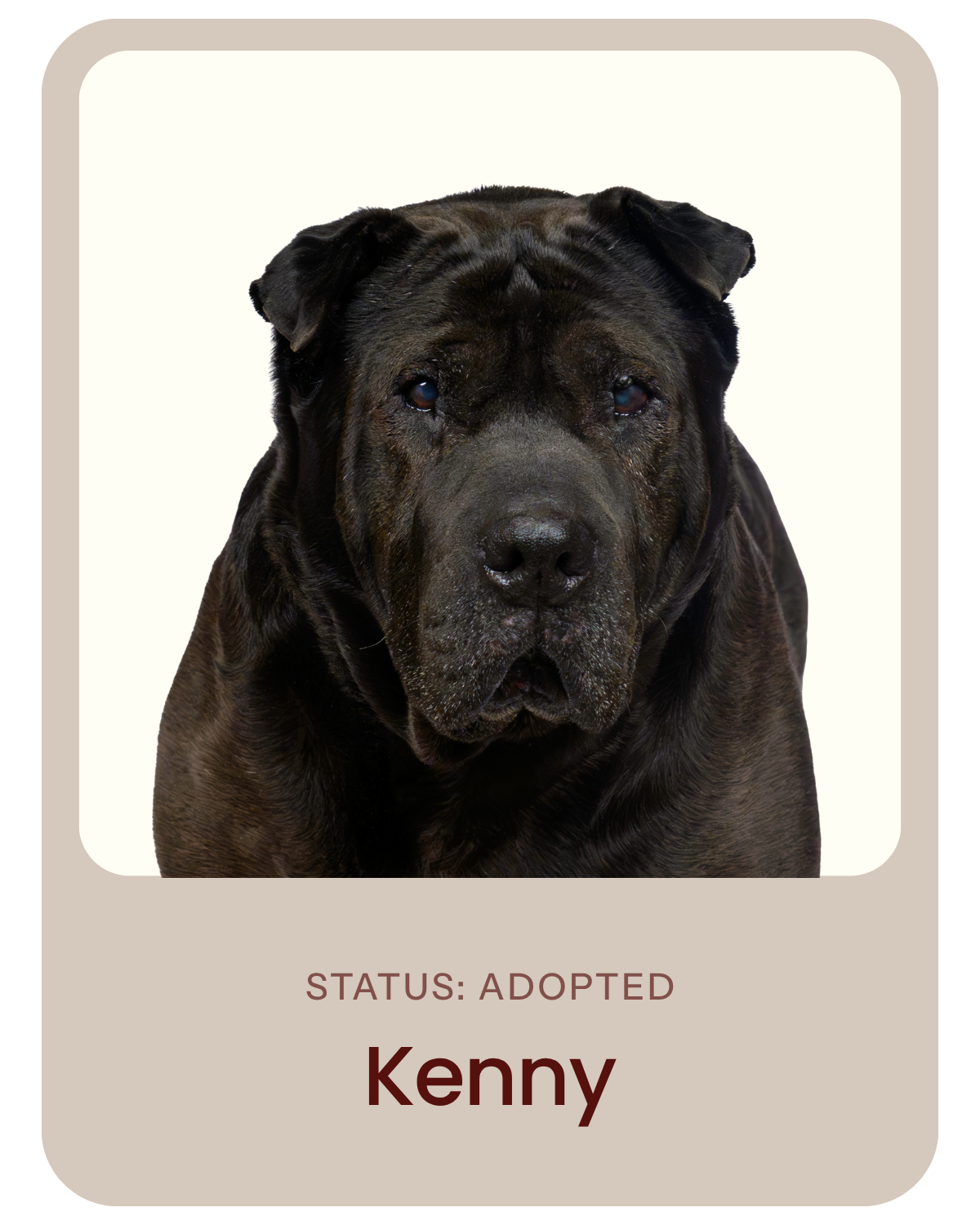 I've been adopted!