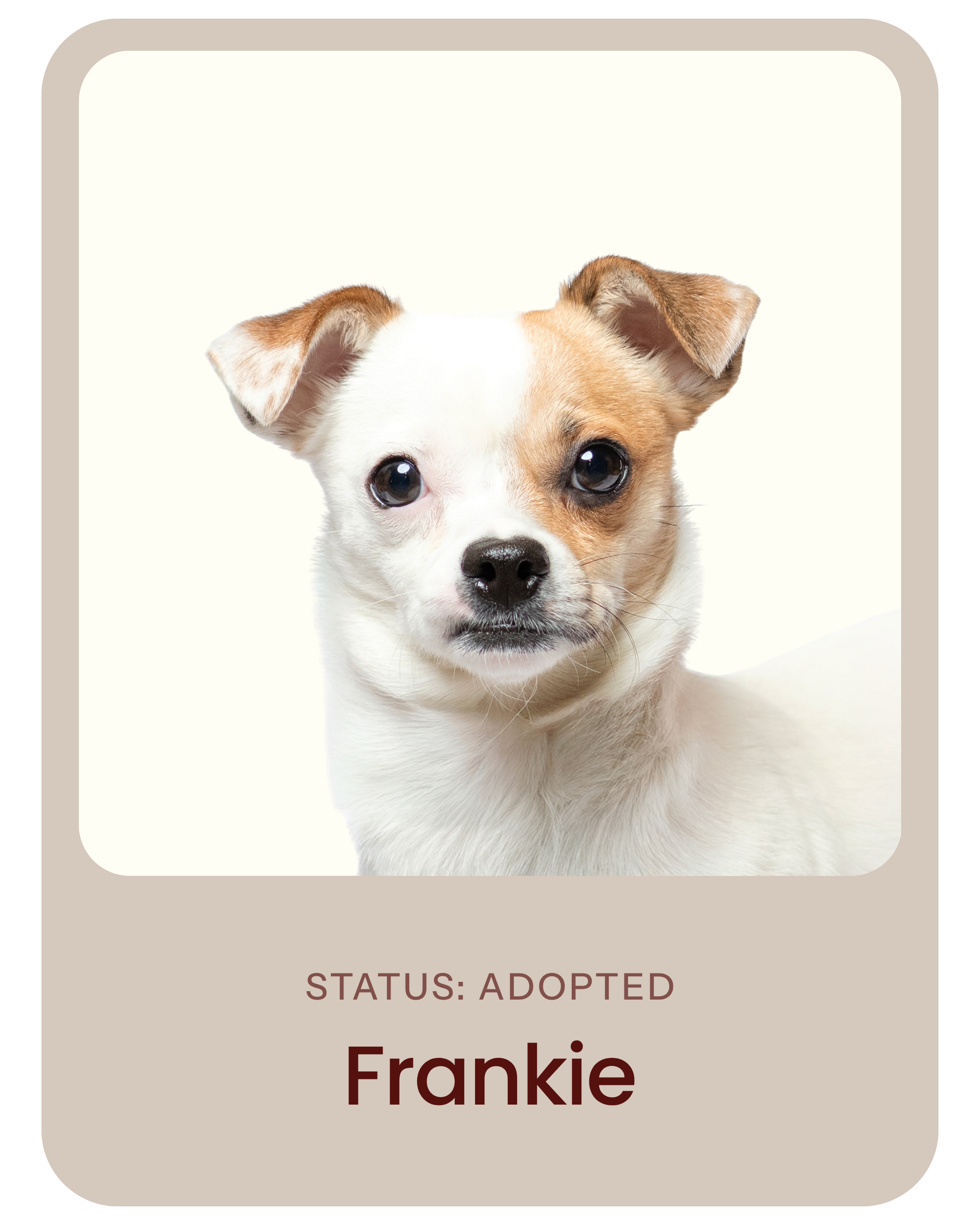 I've been adopted!