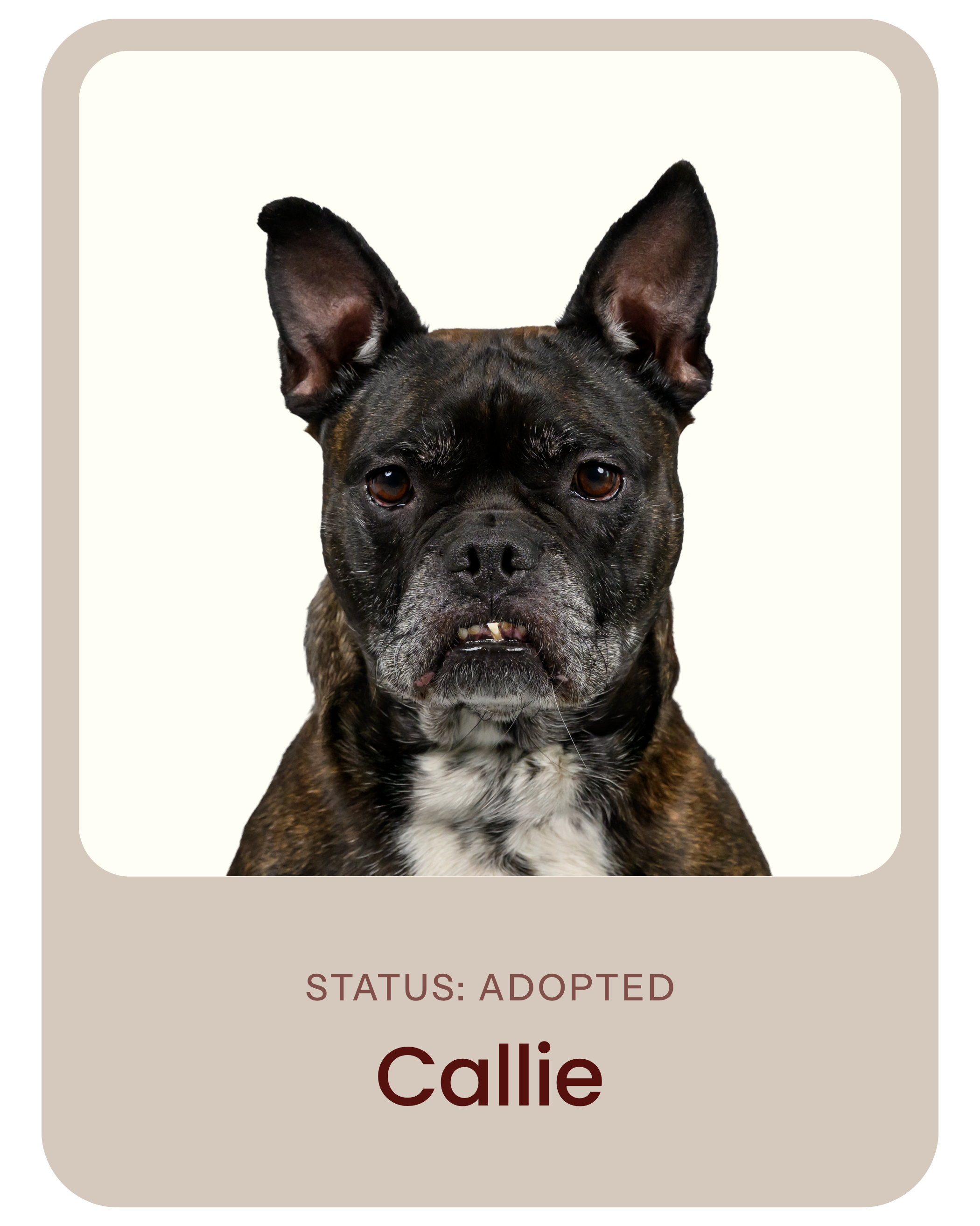 I've been adopted!
