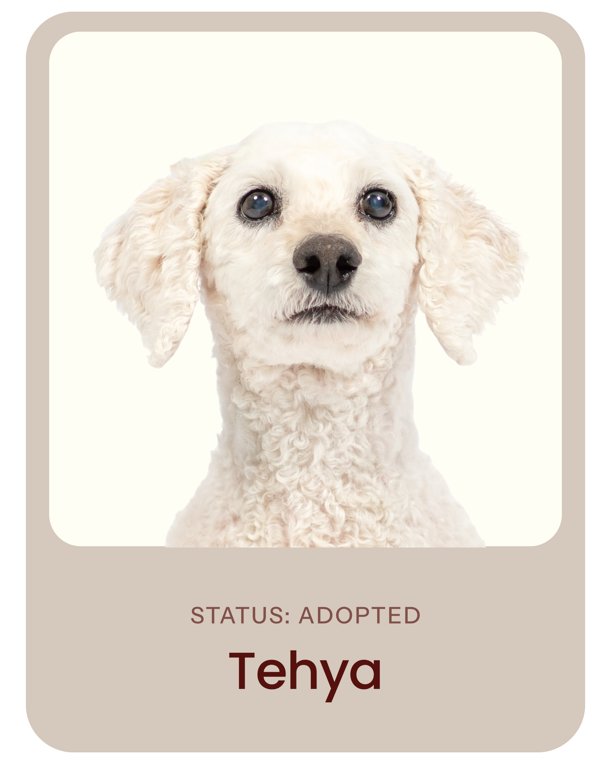 I've been adopted!