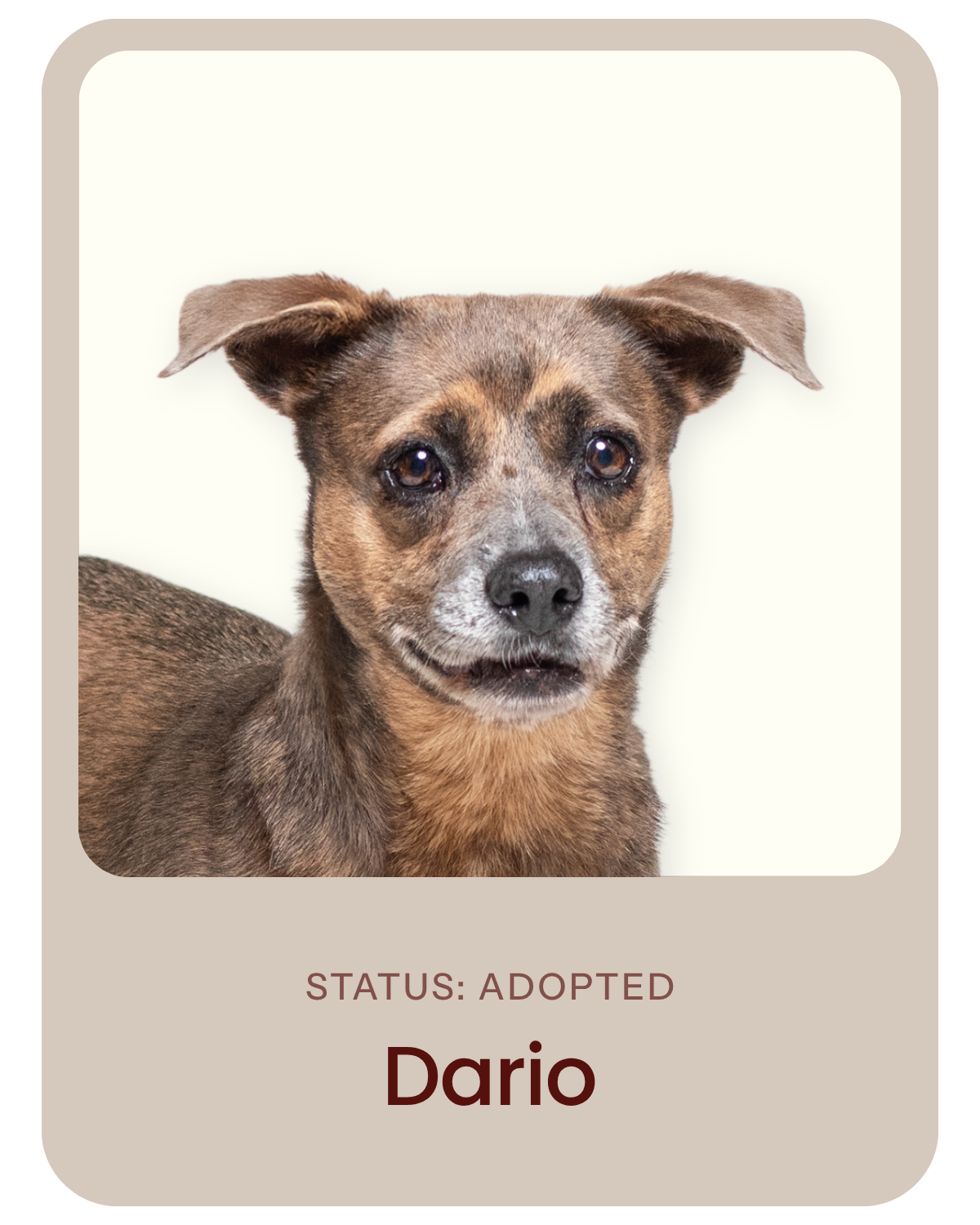 I've been adopted!