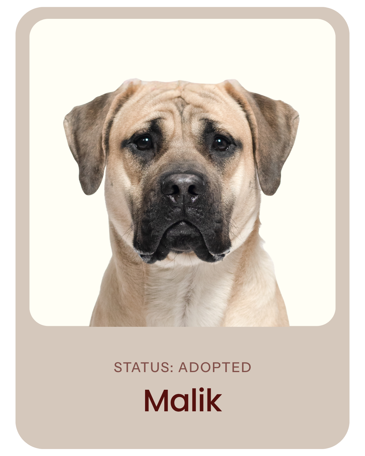 I've been adopted!