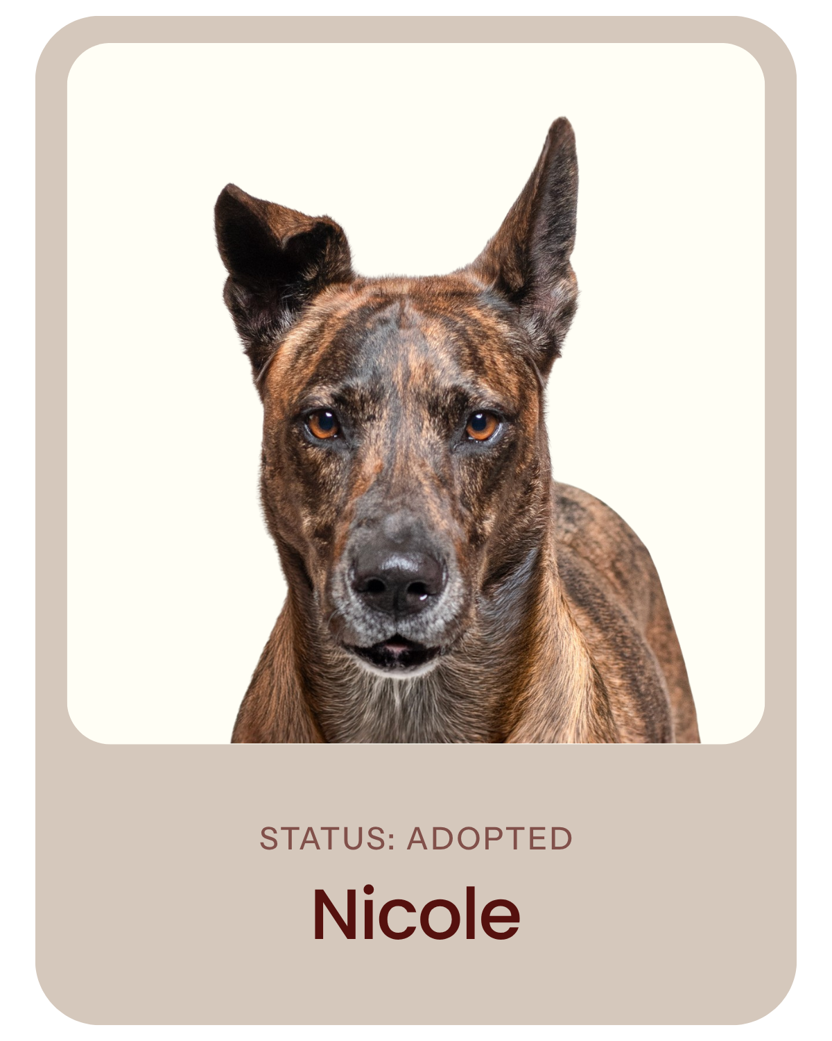 I've been adopted!