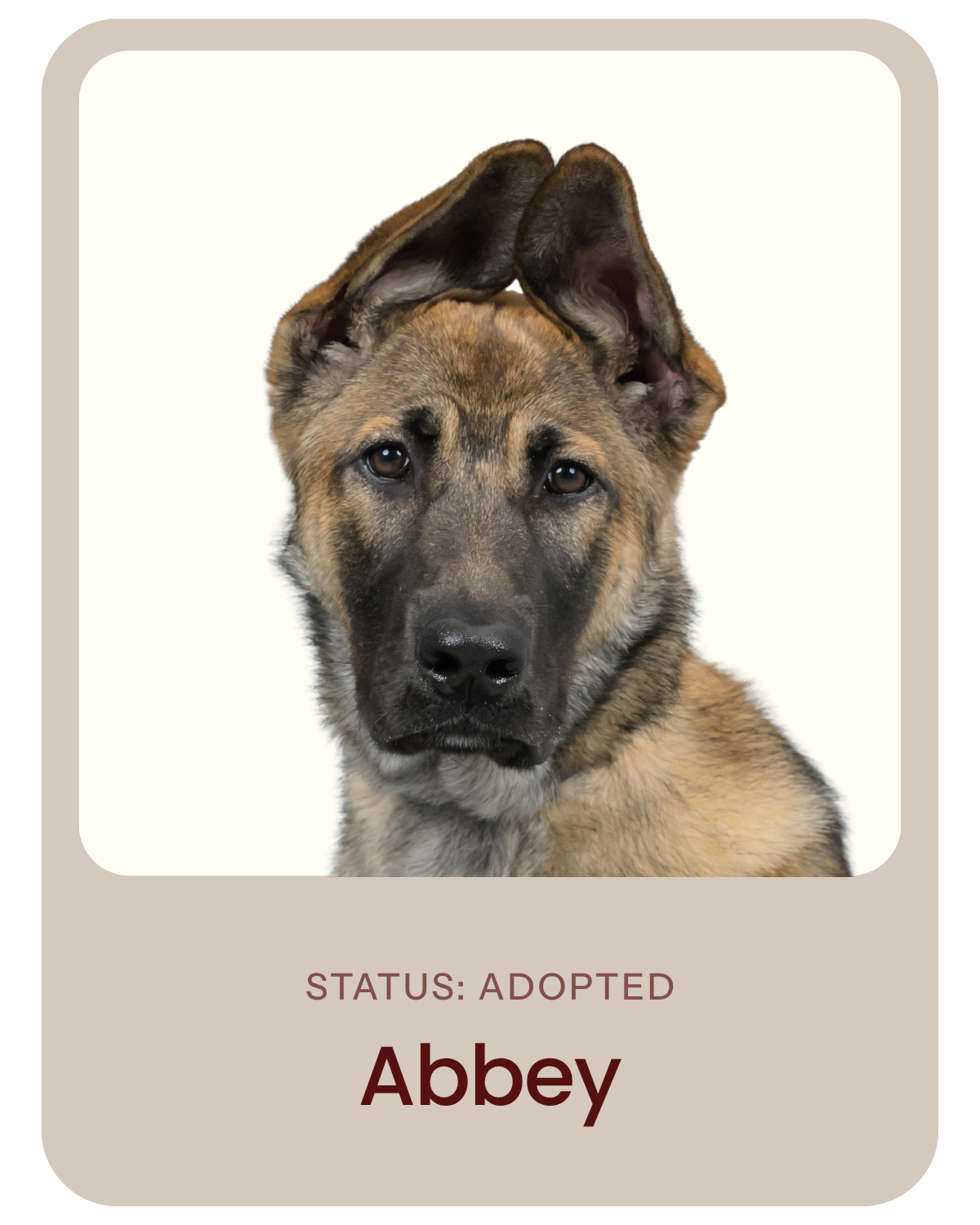 I've been adopted!