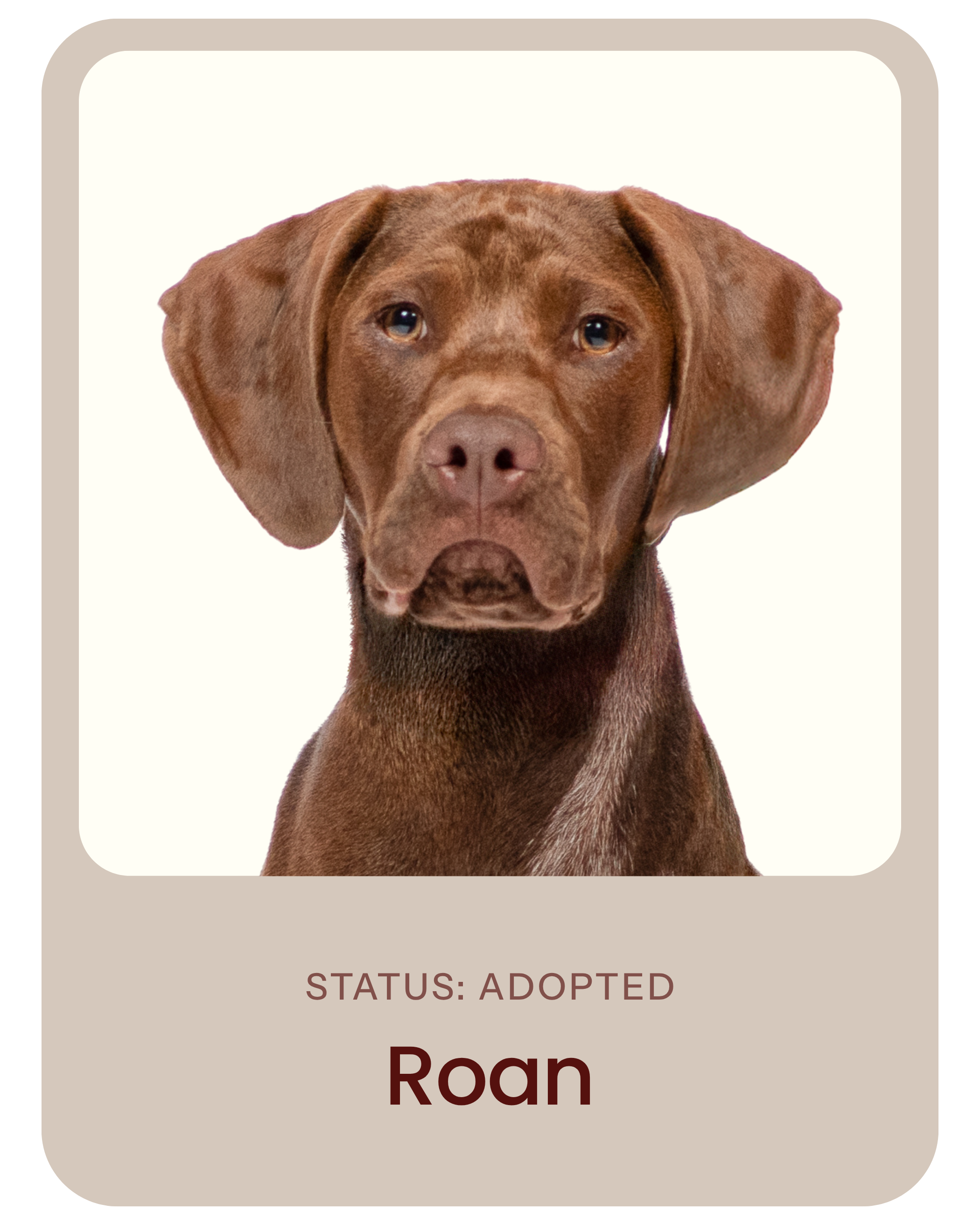 I've been adopted!