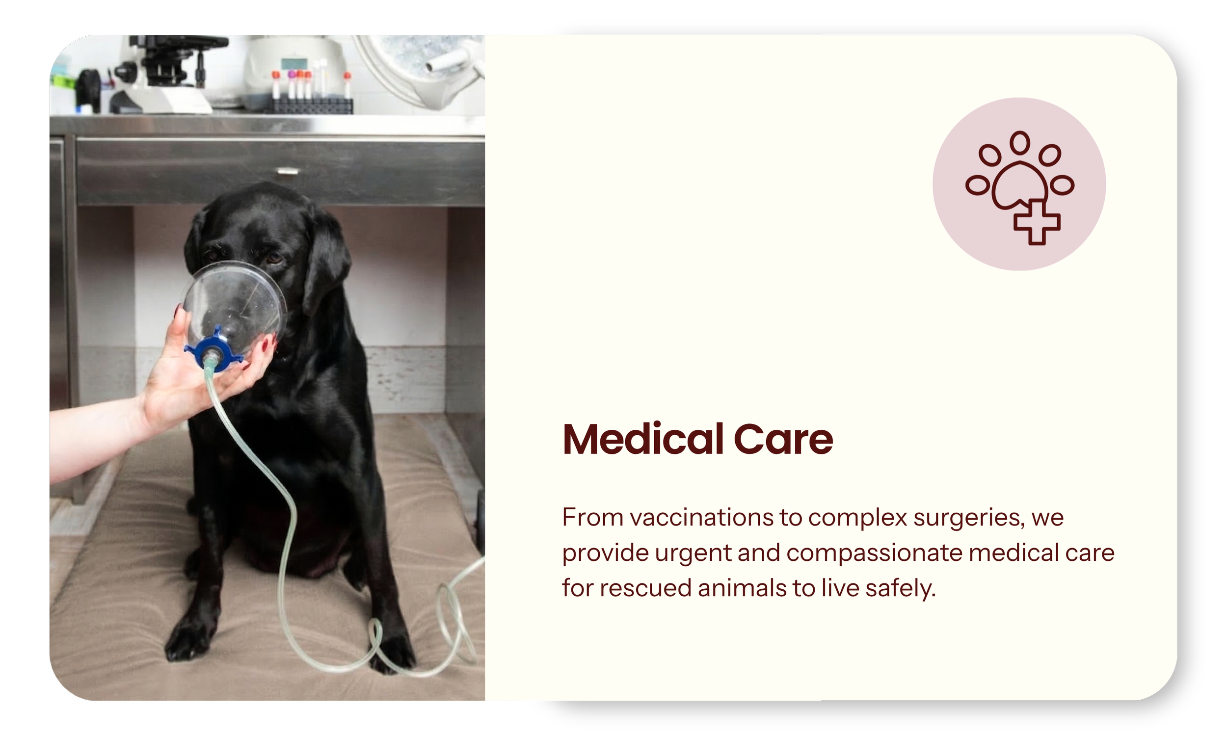 MedicalNeeds.png
