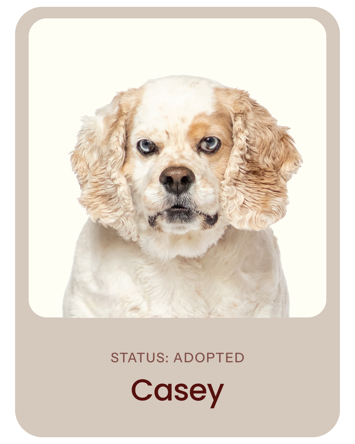 I've been adopted!