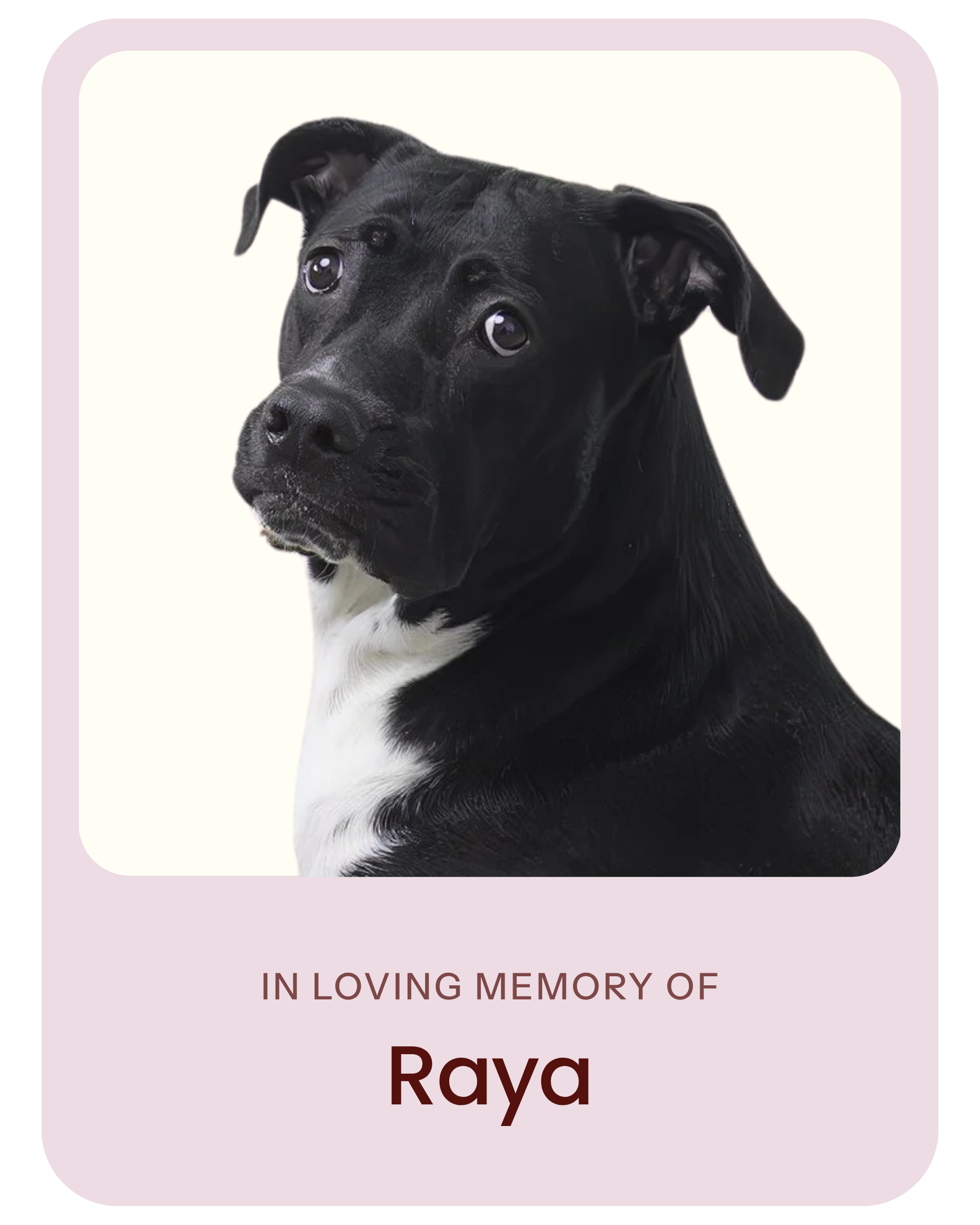 In loving memory