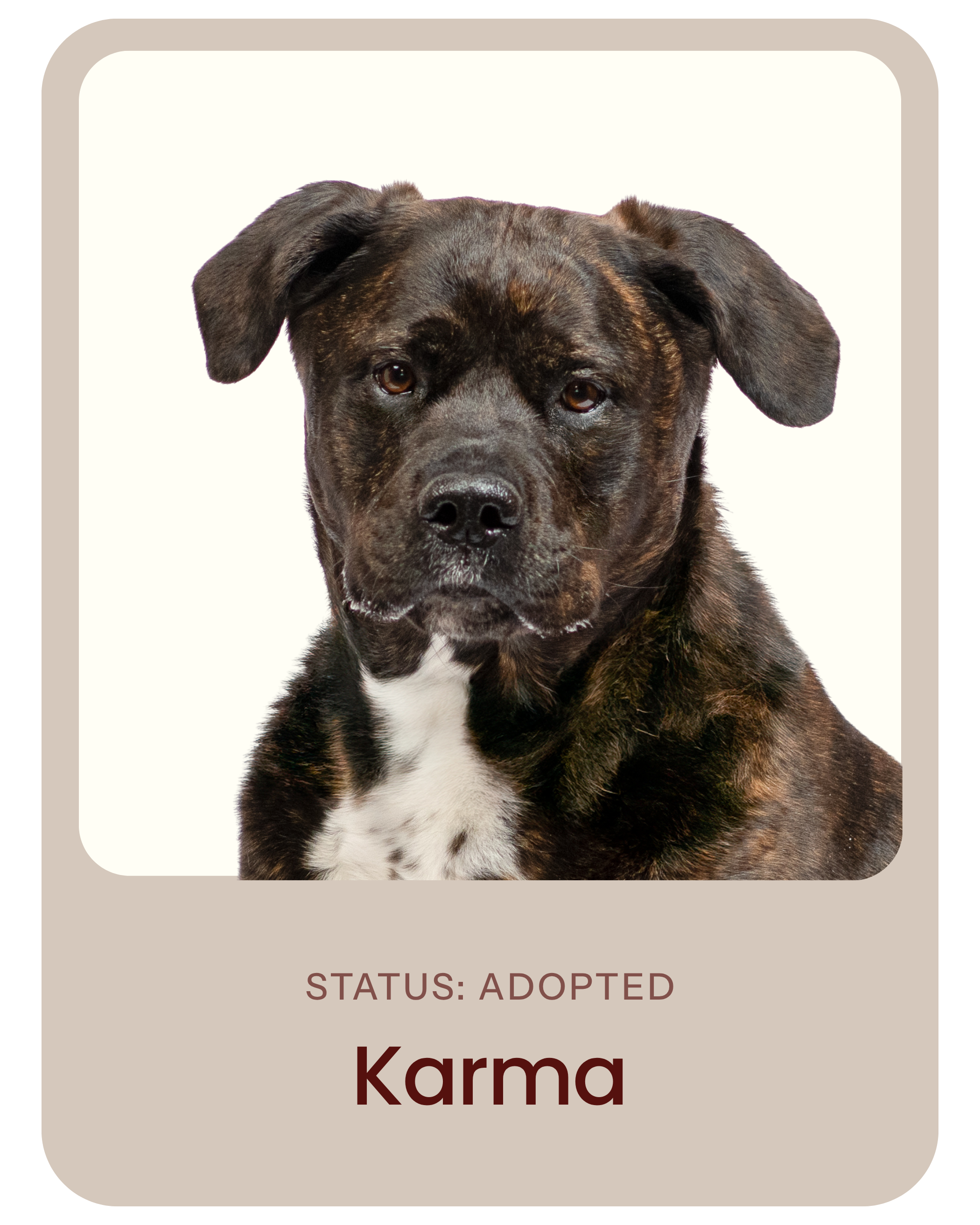 I've been adopted!