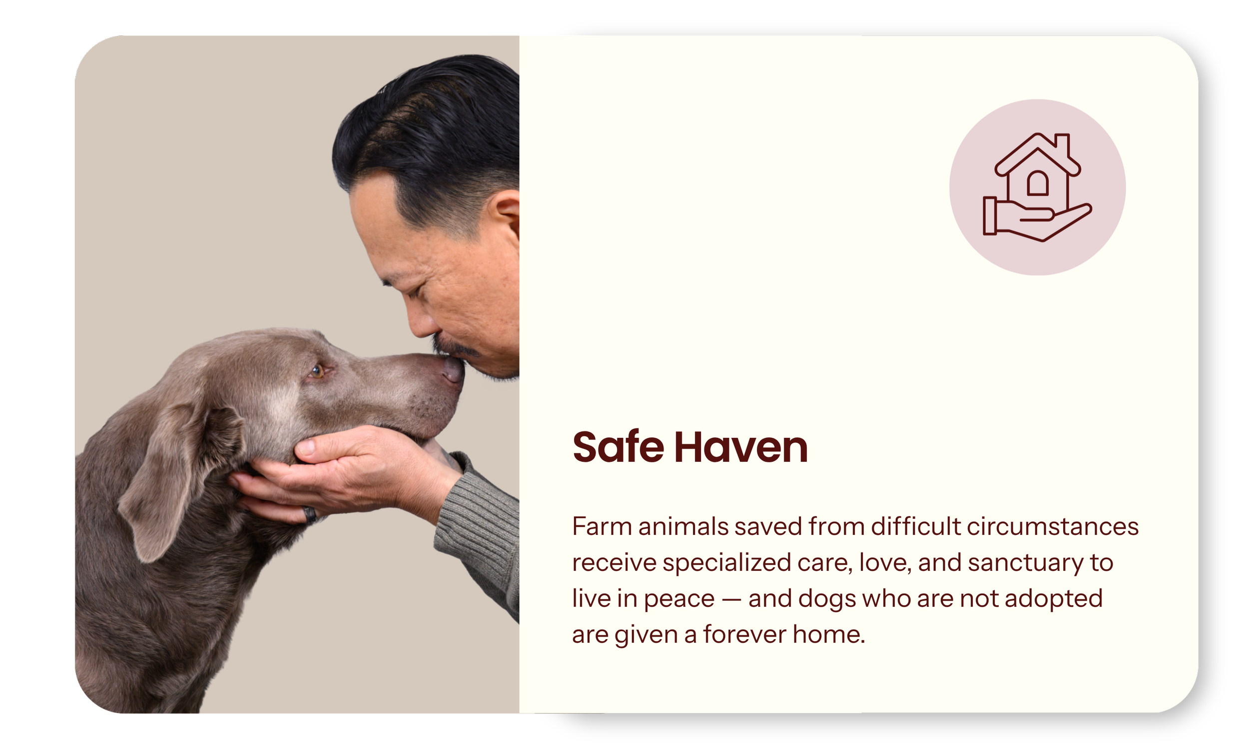 SafeHaven.png