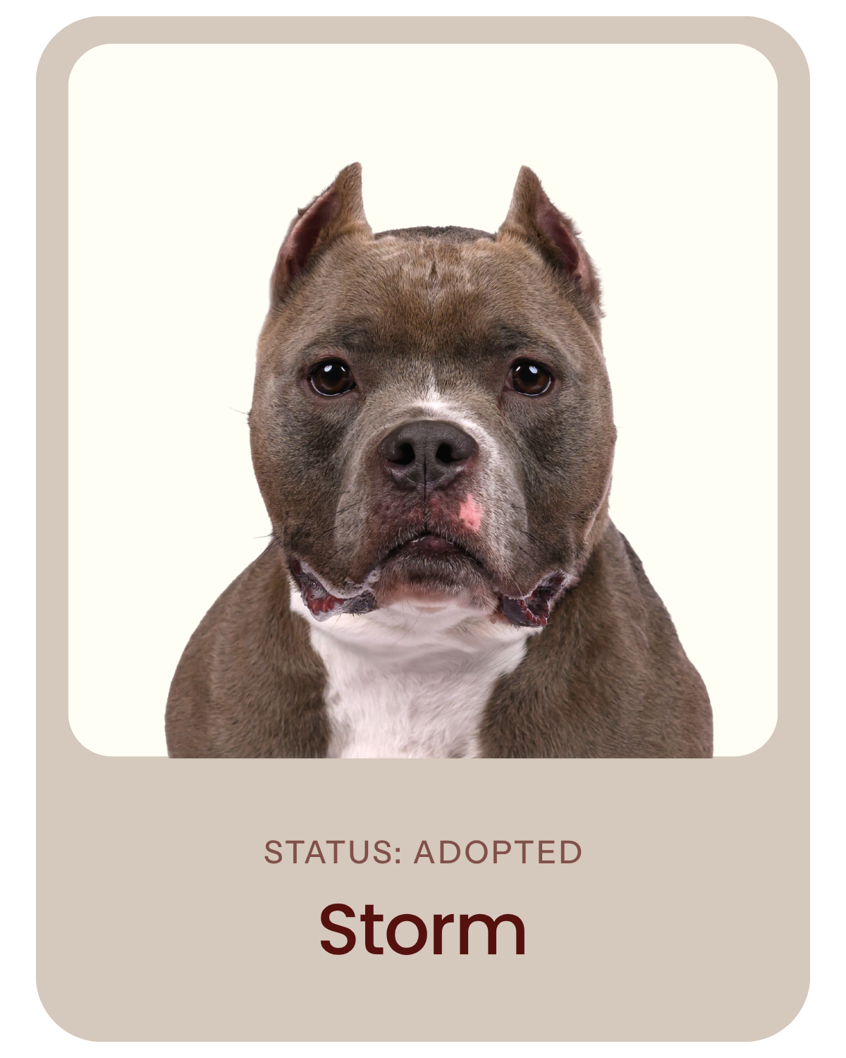 I've been adopted!