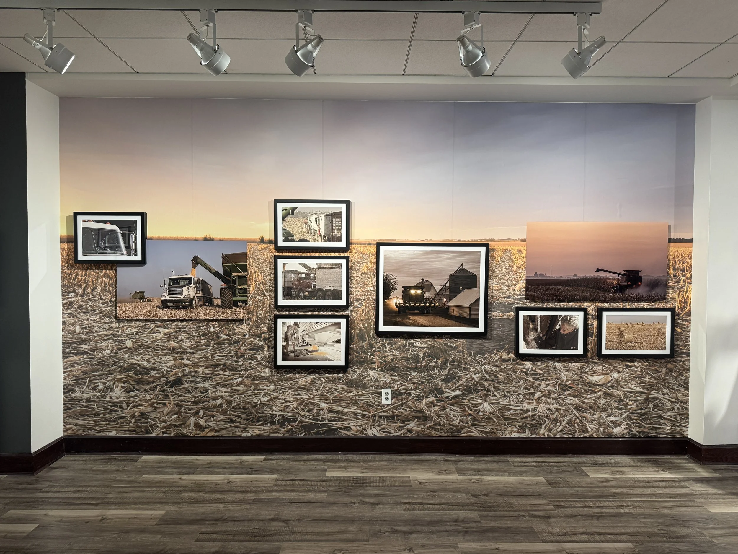 Payday in the Heartland | The Dance - Solo Exhibition at the Washington Pavilion Visual Arts Center - Gallery 301 - Sioux Falls, SD