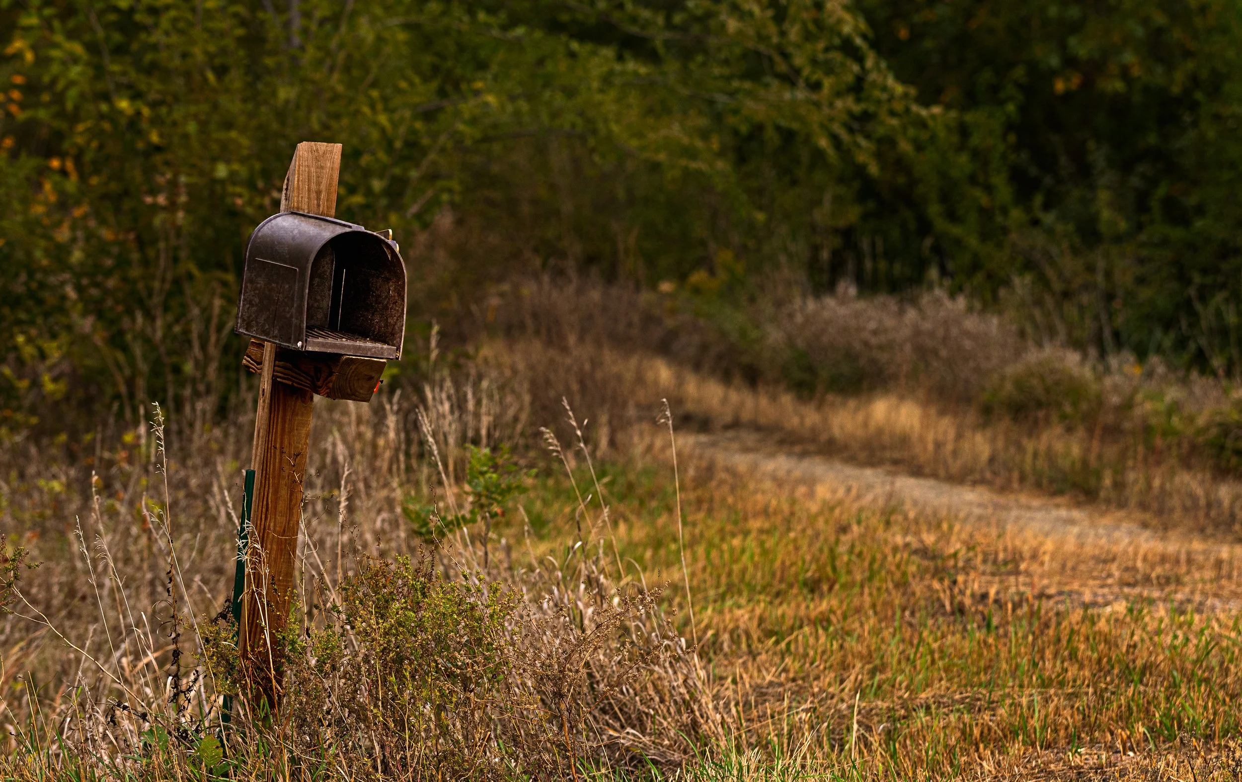 RR1, Box 154 - Harrisburg, SD