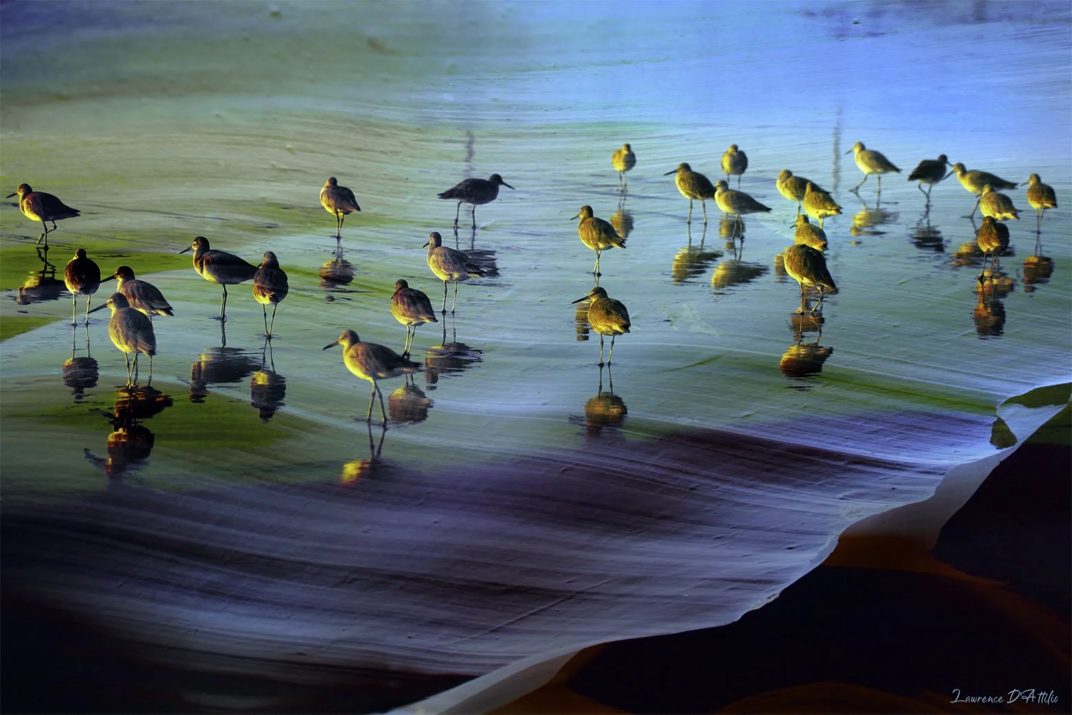 Sunset Gathering.jpg