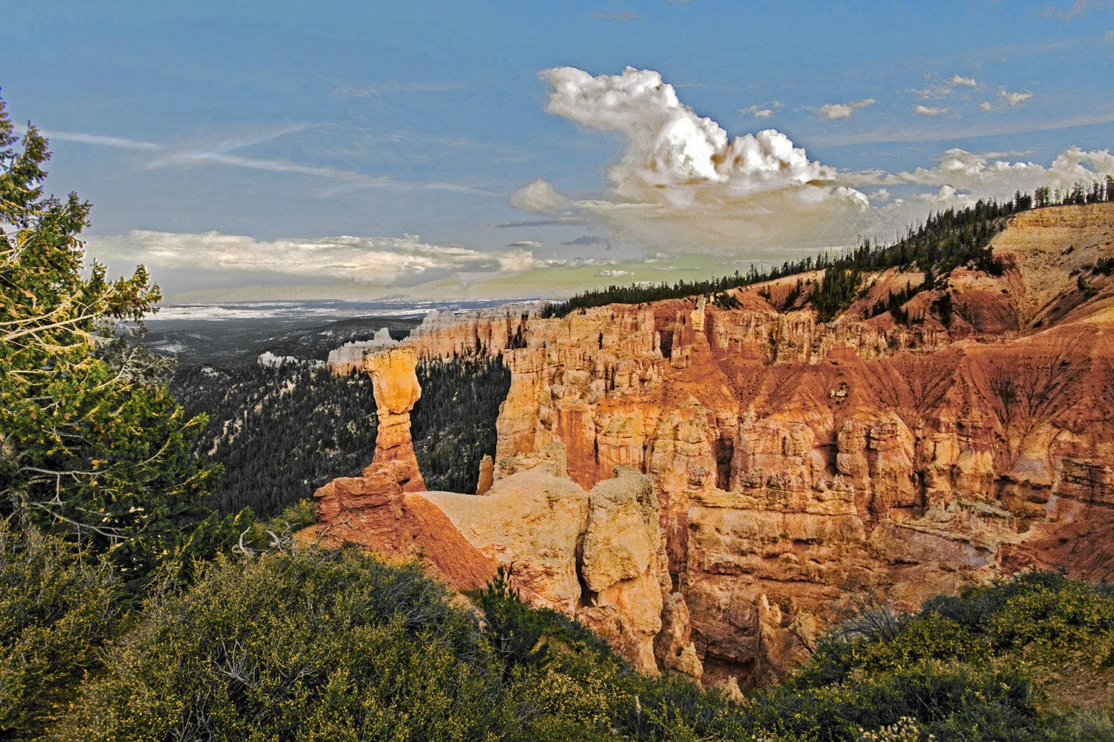 Impetuous Nature.jpg