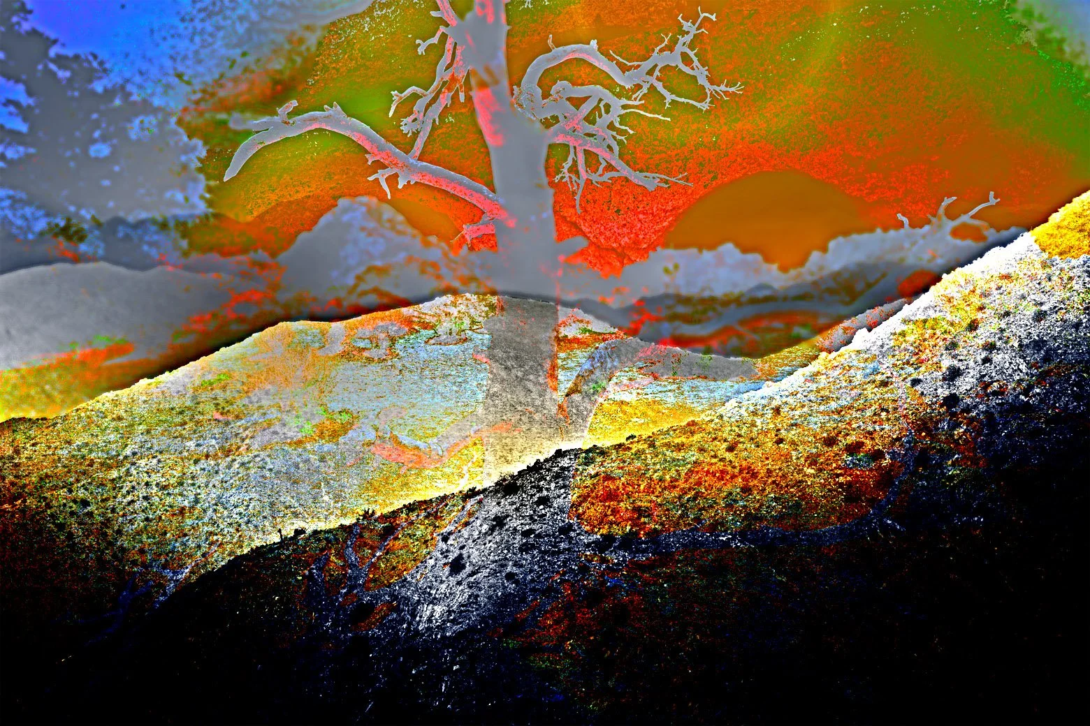 Redsong_Light.jpg