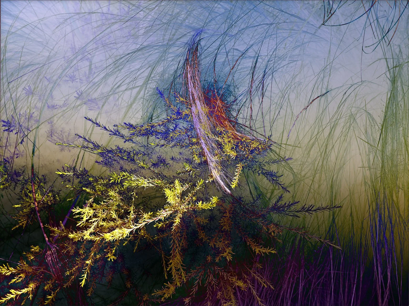 Ghosts of Trees of the Past