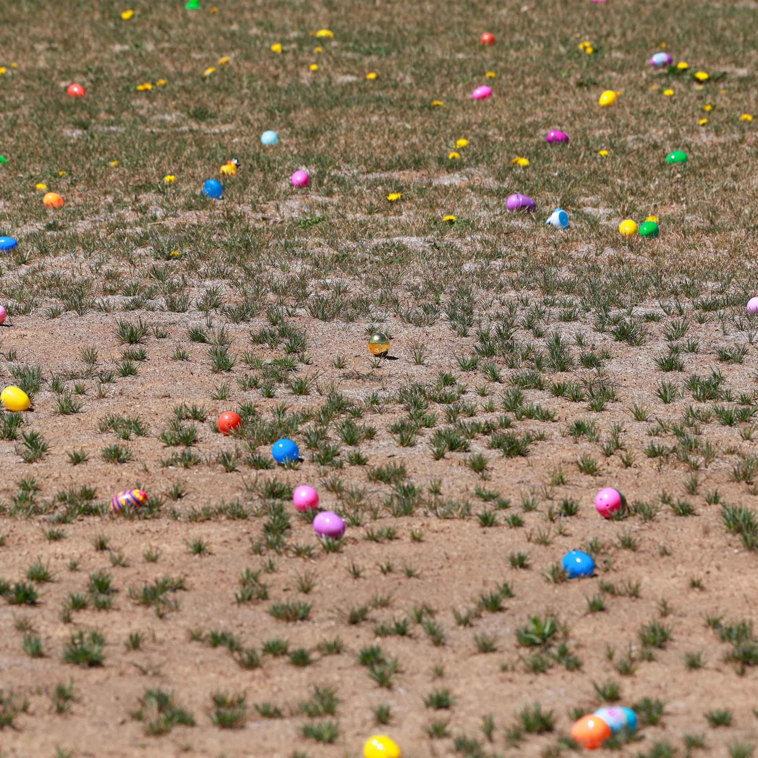 Easter Eggstravaganza-6.jpg