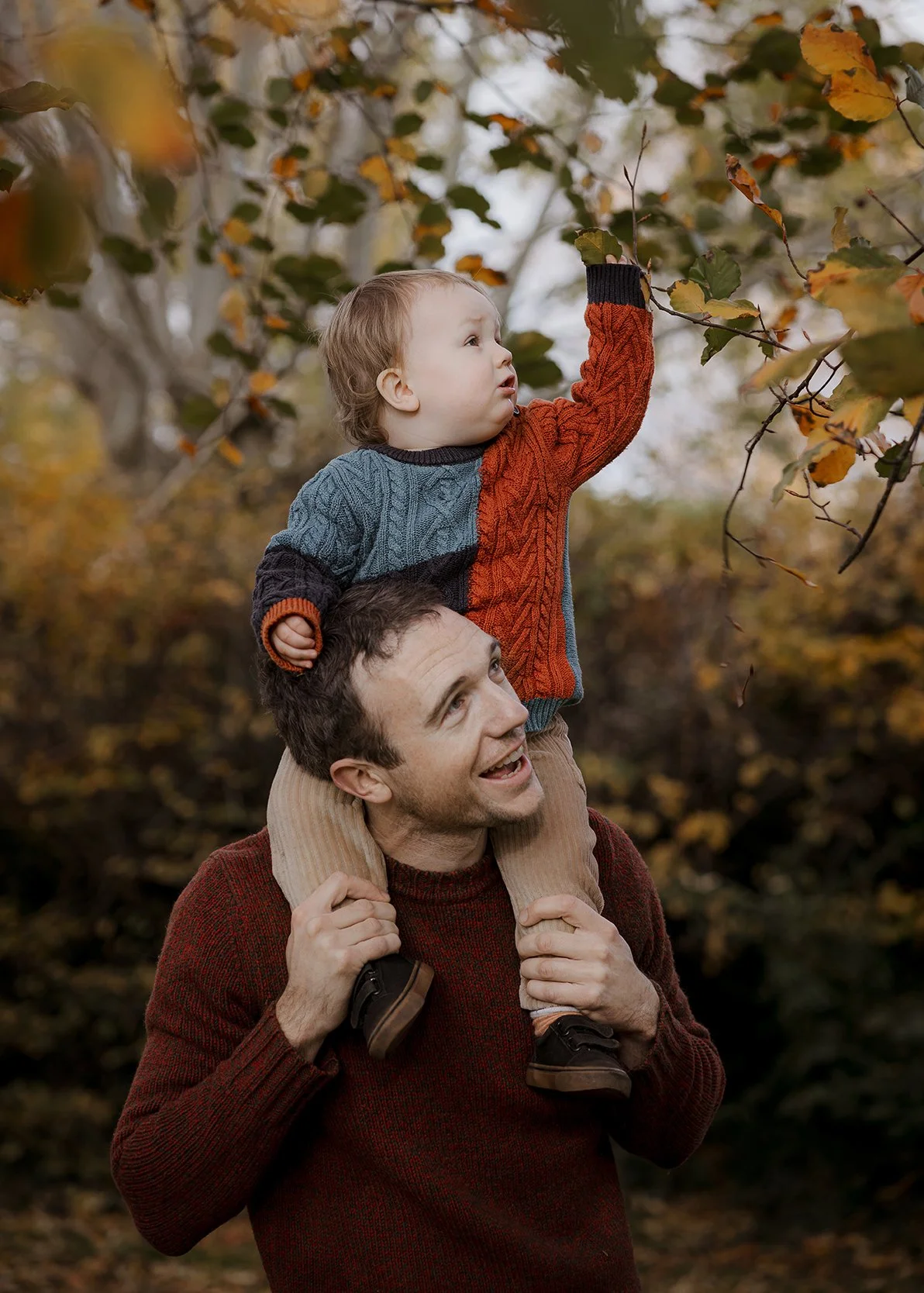 Little boy on his father's shoulders while he looks at leaves in a tree during an outdoor family photoshoot in Bristol.