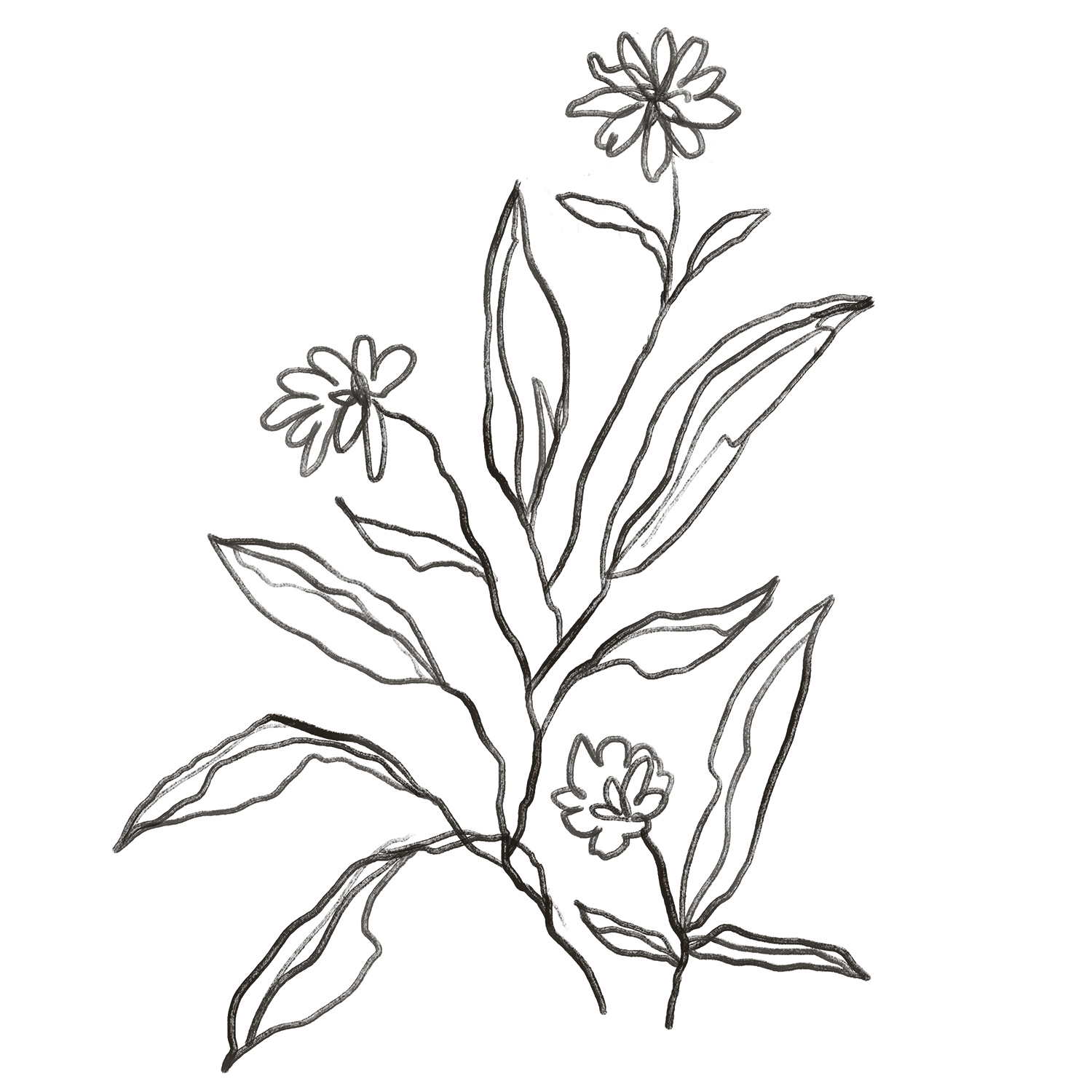 Luonnosmainen, siveltimellä maalattu kuva villikukista.