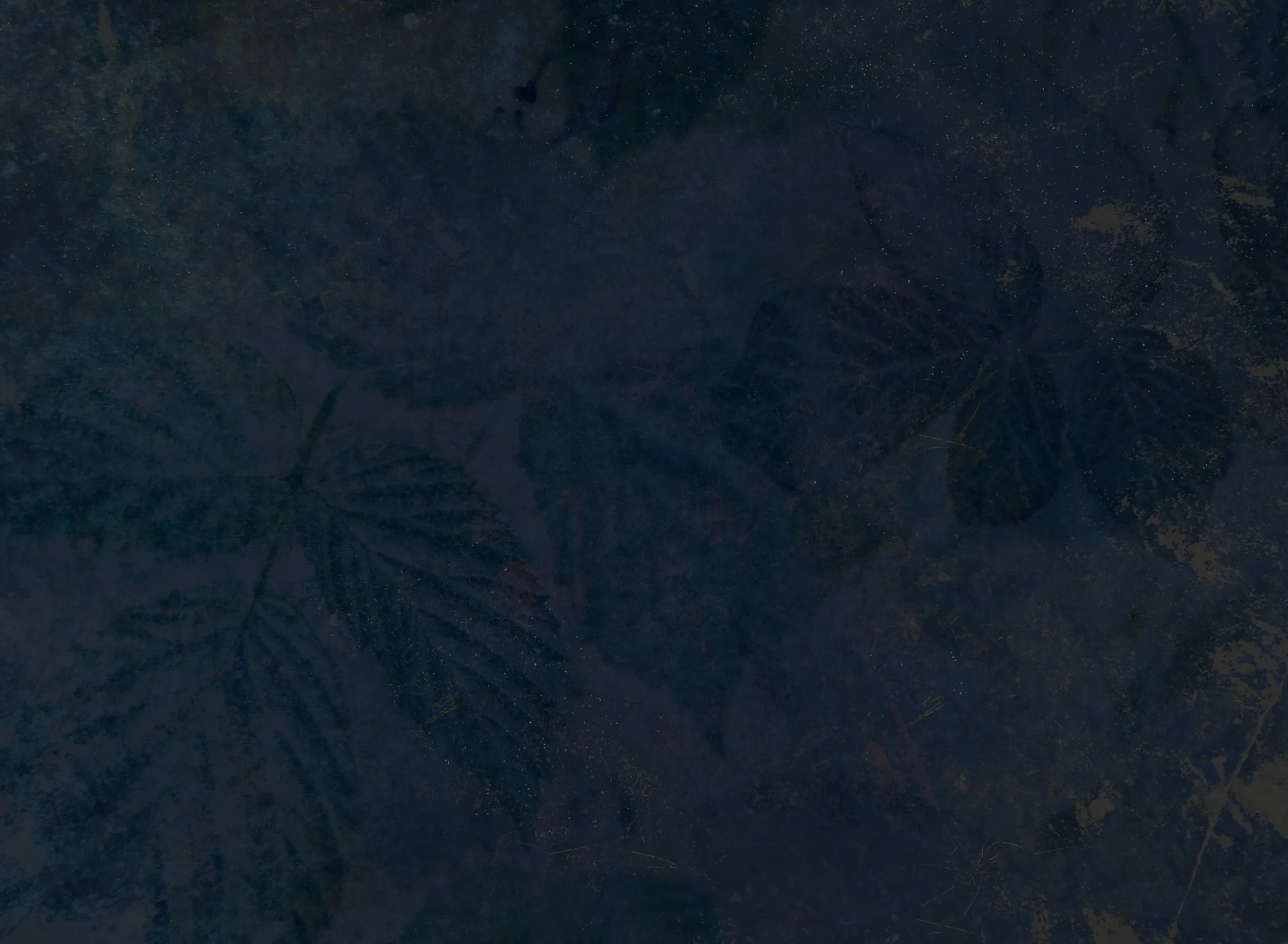 Kerroksellinen, patinoitunut tummansininen tausta, josta erottuu vadelmanlehtiä.