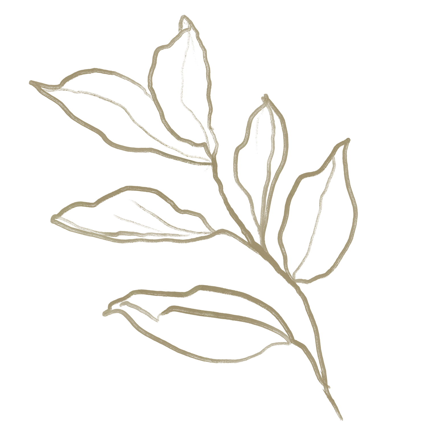 Luonnosmainen, siveltimellä maalattu lehdekäs oksa.