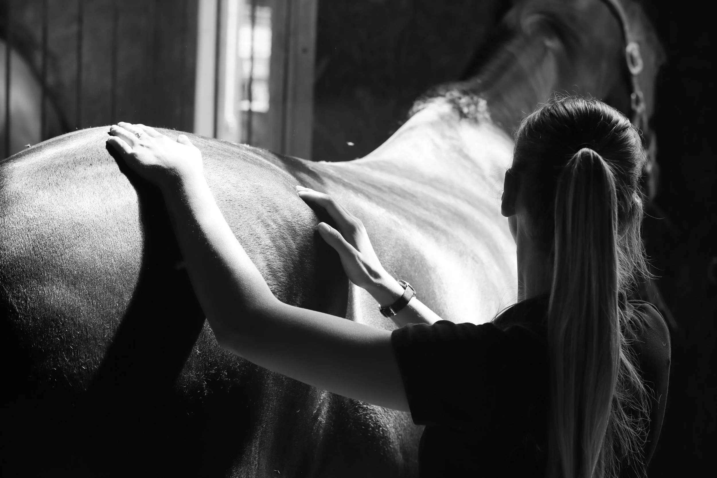 woman massaging horse