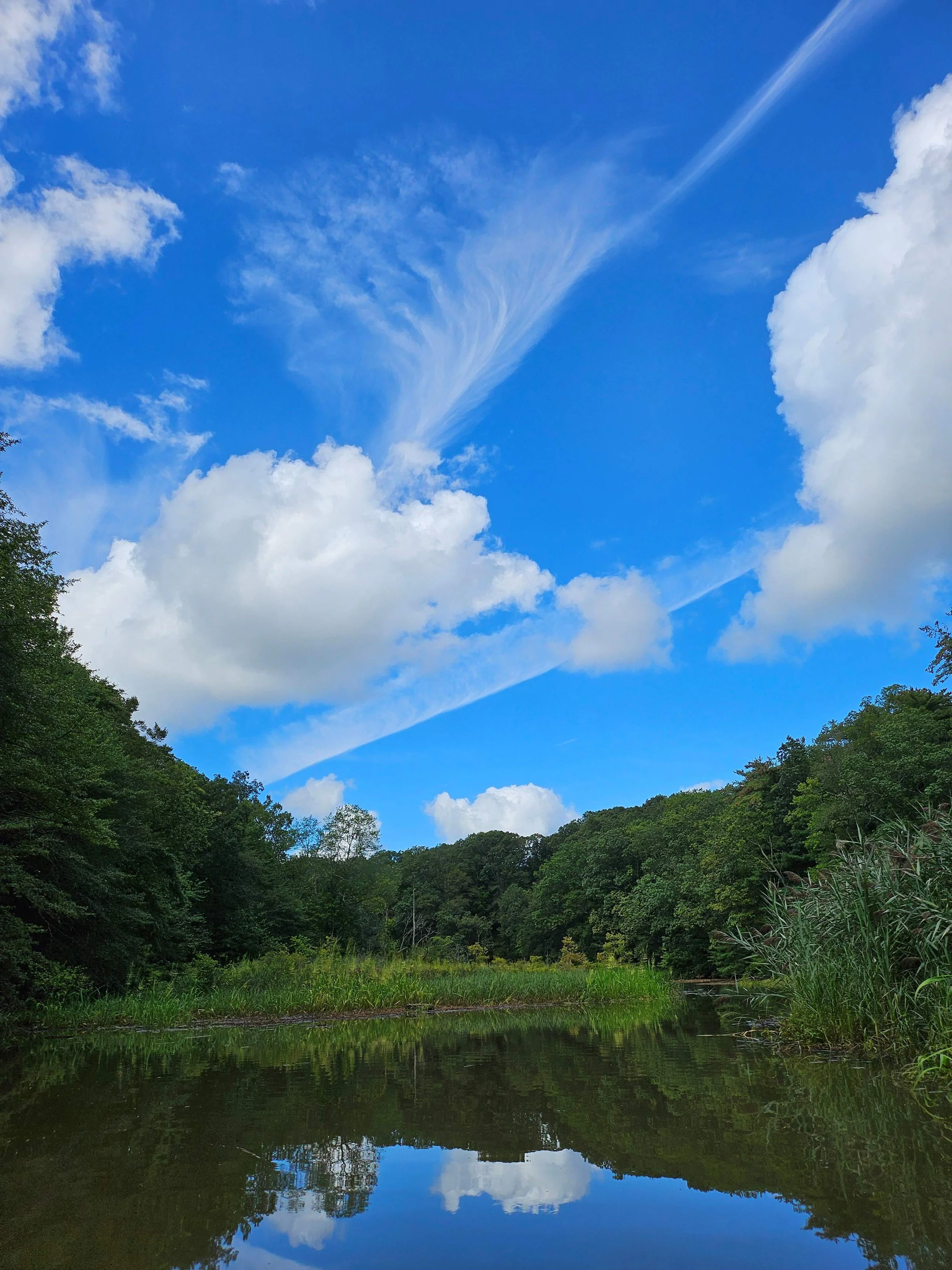 A river or pond reflecting trees and a blue sky with white clouds and wispy cirrus clouds.