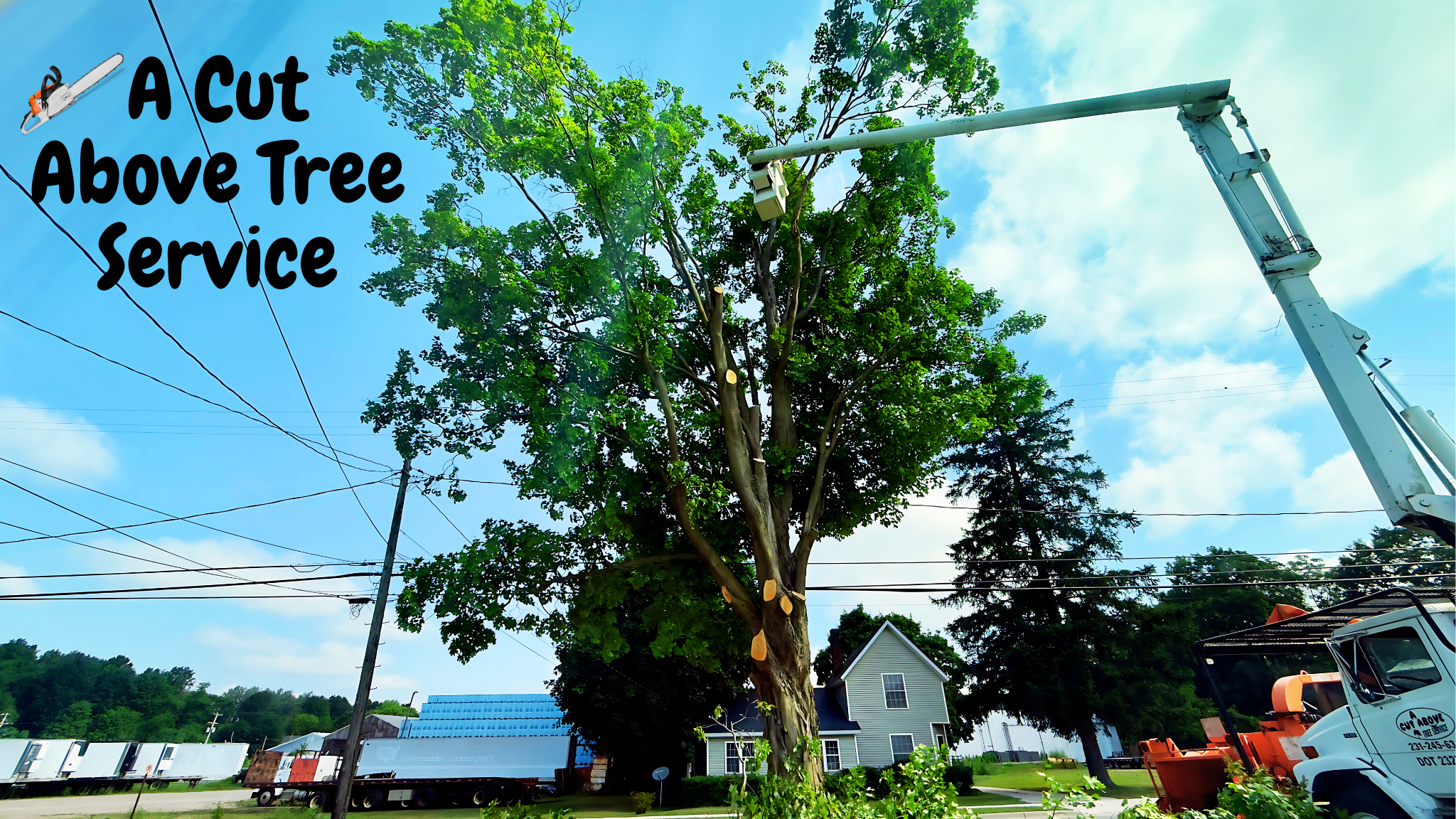 Ricky Hovey: The Face of West Michigan Tree Services