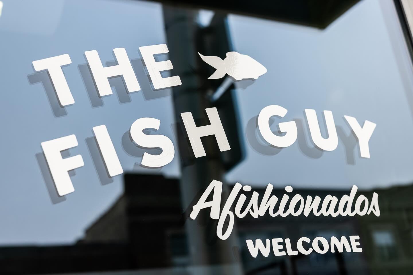 Here&rsquo;s a sneak peek at one of the many updates to The Fish Guy coming your way in August, Afishionados.

Keep an eye out for updates around the shop and [gasp] a new website in the coming weeks.

#samefishnewguy
📷: @lucyhewett
🎨: @monksigns
