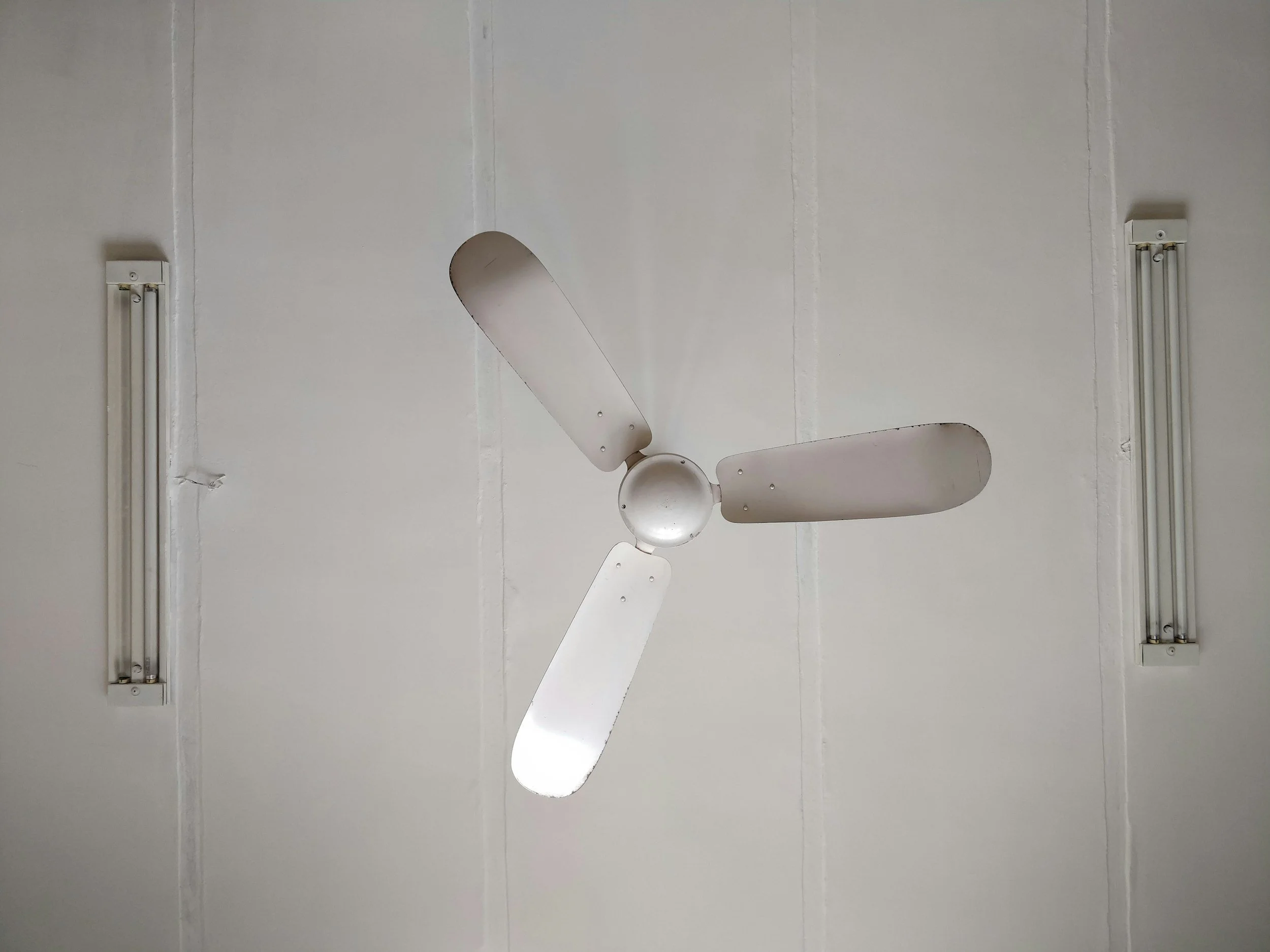Ceiling fan with three blades and two fluorescent light fixtures on a white ceiling.