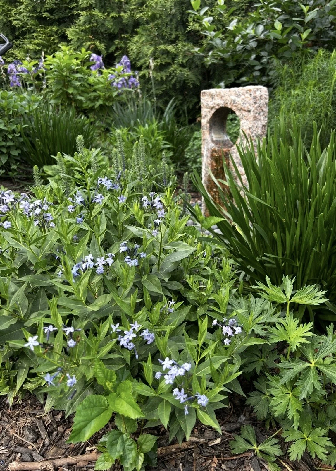 IMG_0526.jpeg