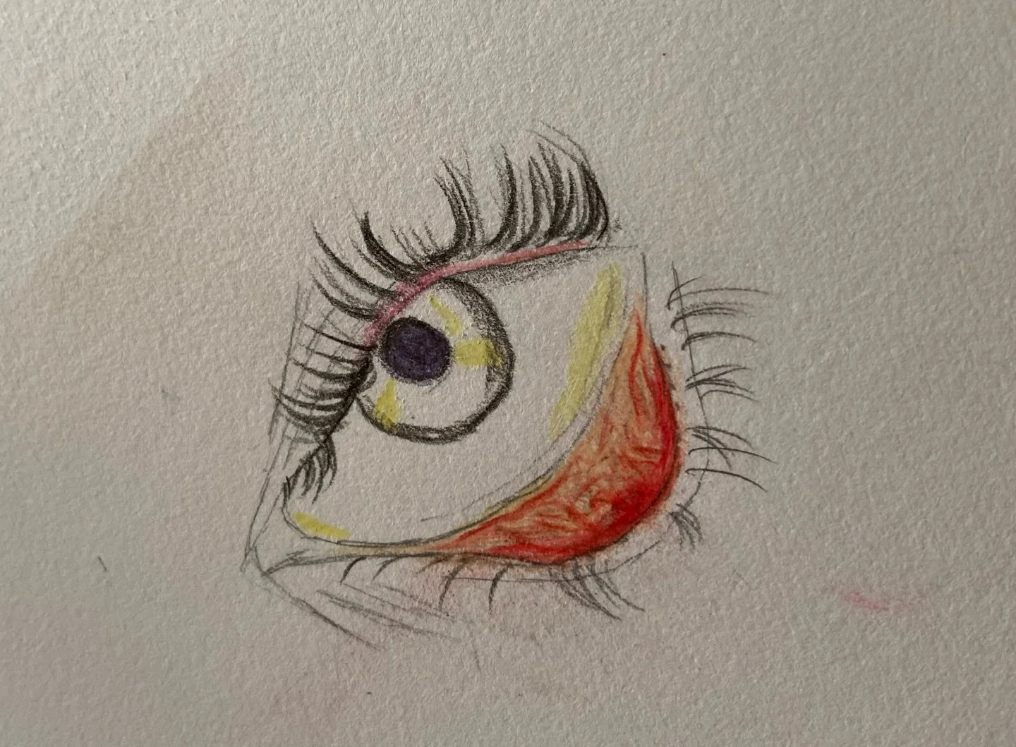 I getting better at realism and color theory 💪🏾

👁️ #eye #art #realism #colorpencils