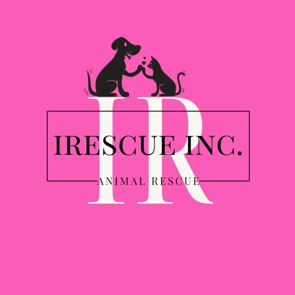 iRescue