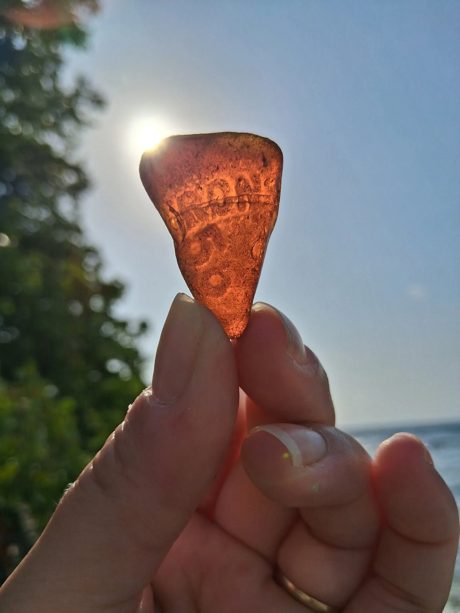 Person holding a piece of amber-colored resin or rock up to the sky with the sun behind it, clear blue sky and trees in the background.