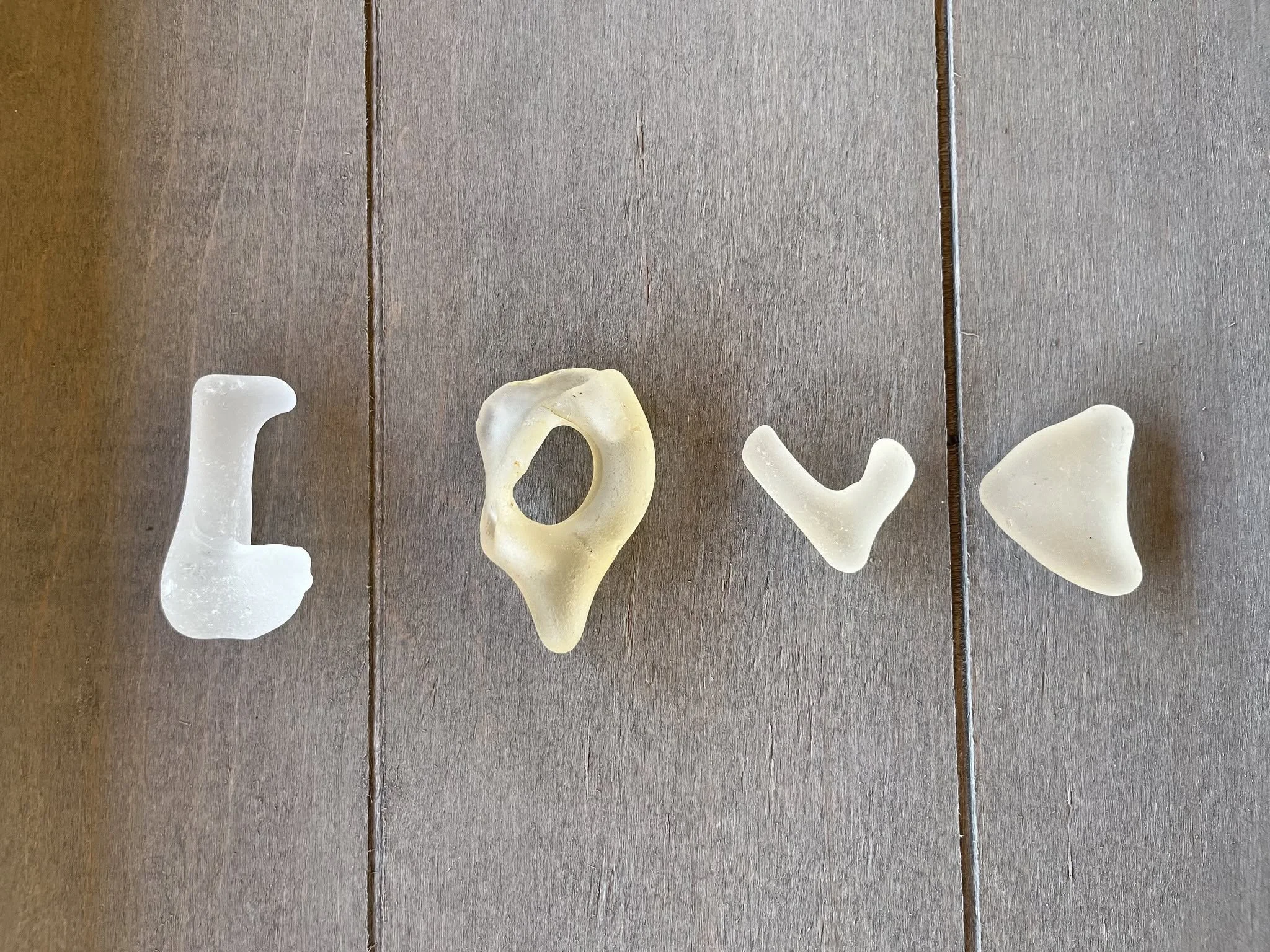 Various bone fragments arranged on a brown wooden surface.