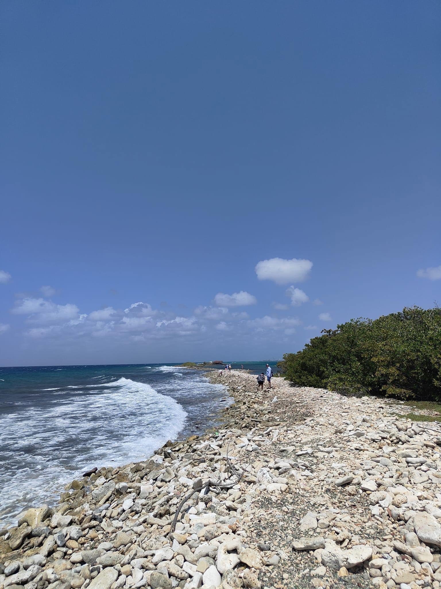 A rocky beach shoreline with people walking along it, the ocean waves gently crashing, blue sky with some clouds, and green bushes on the right side.