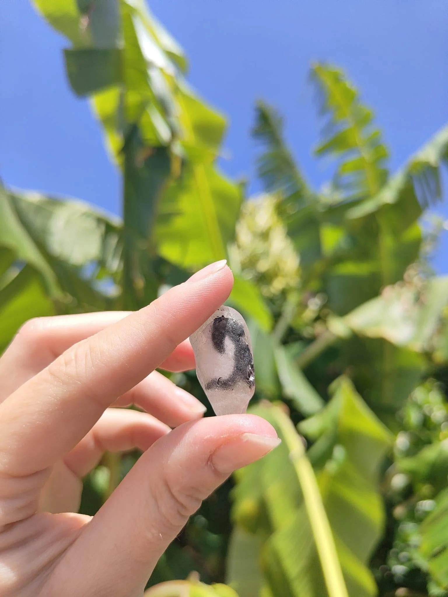 Close-up of a person’s hand holding a clear quartz crystal with black inclusions against a backdrop of green leaves and blue sky.