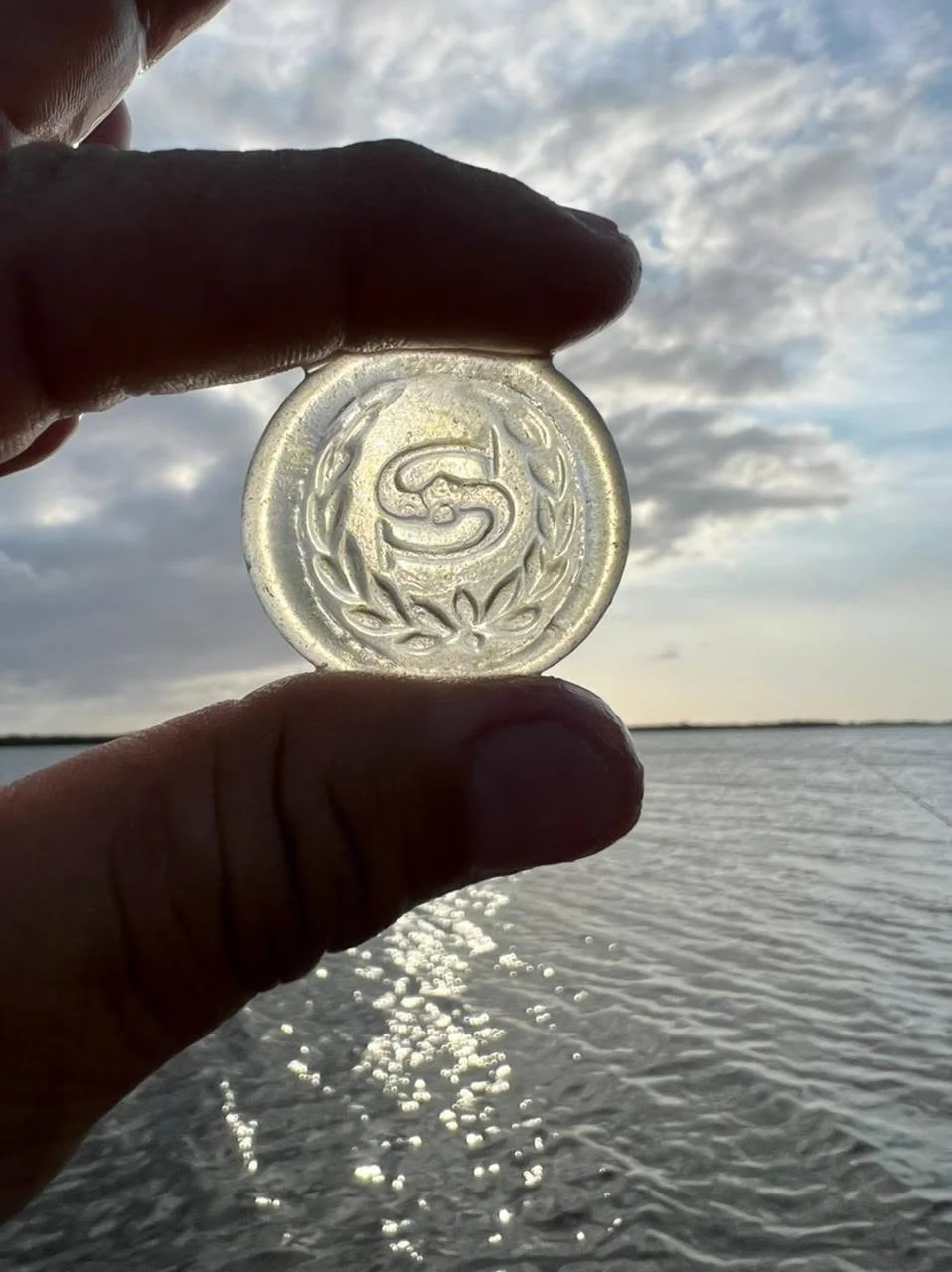 A person holding a transparent coin with a snake and laurel design up against the sky and water, with clouds and the sun shining.