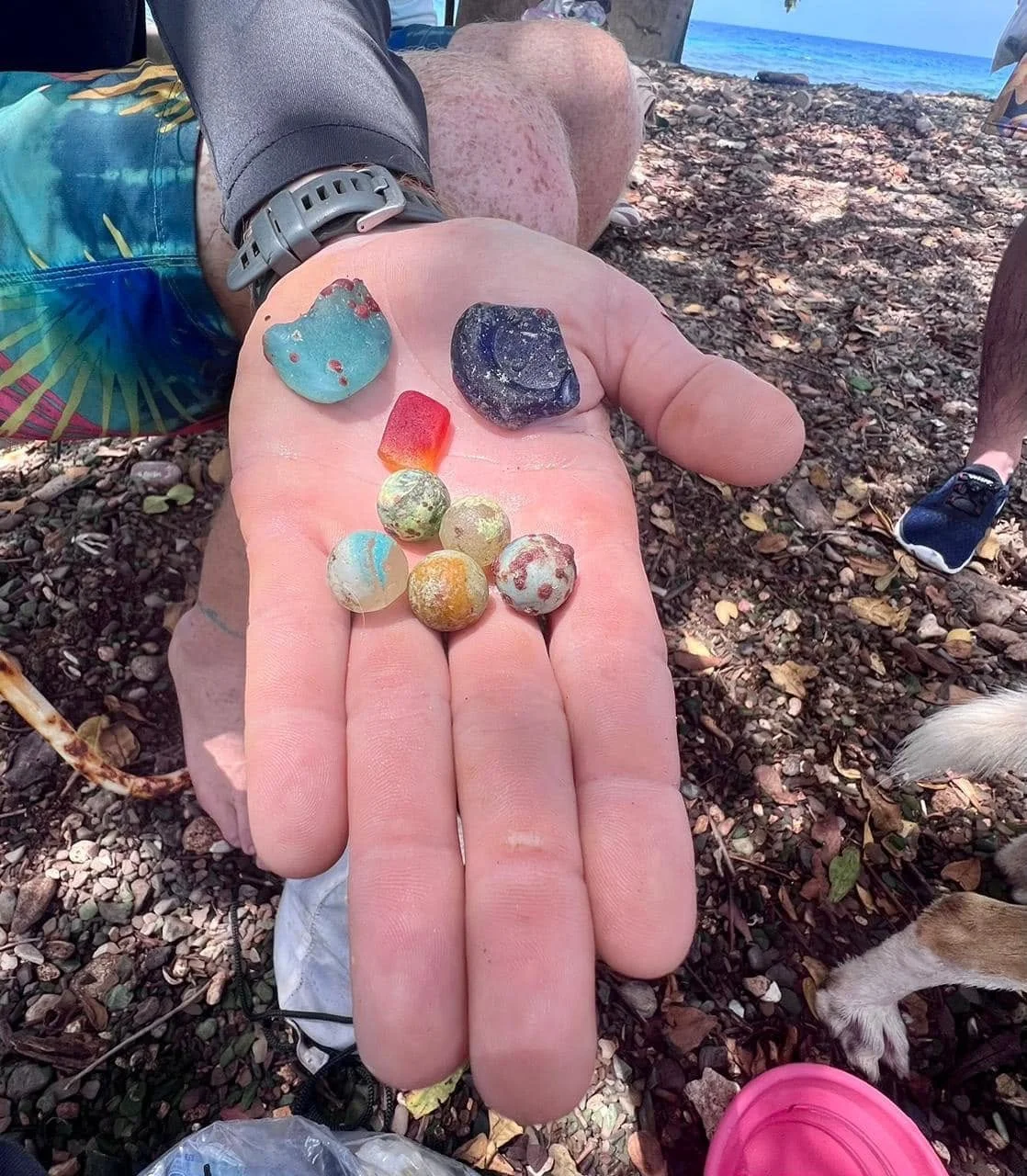 Person holding a handful of colorful sea glass and small shells on a rocky beach with the ocean in the background.