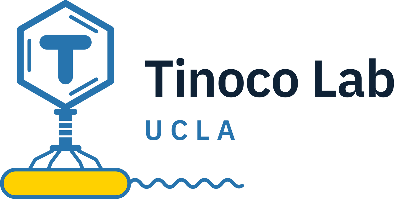 Tinoco Lab