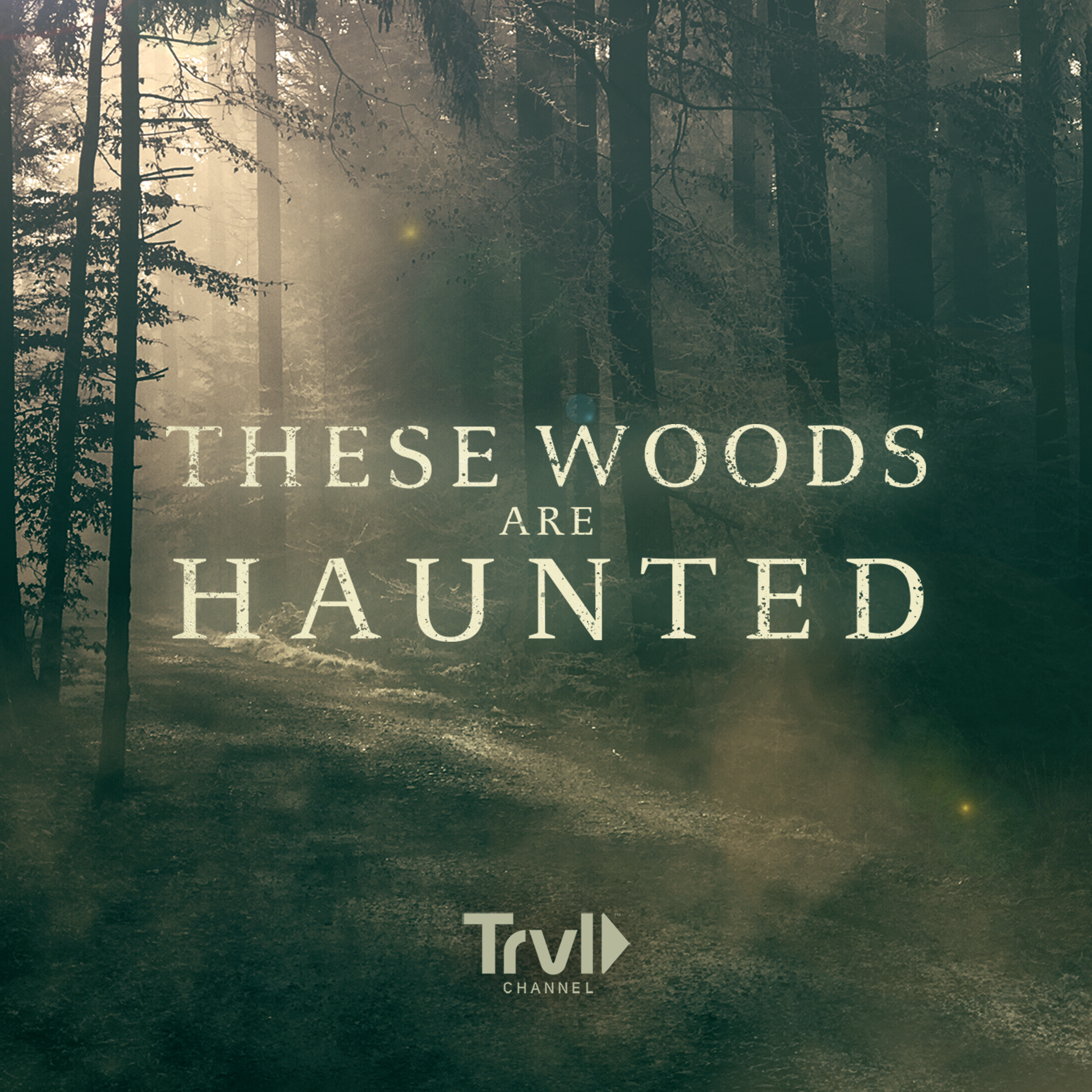 WBD_TRVL - These Woods Are Haunted_Tile - 3000x3000.png