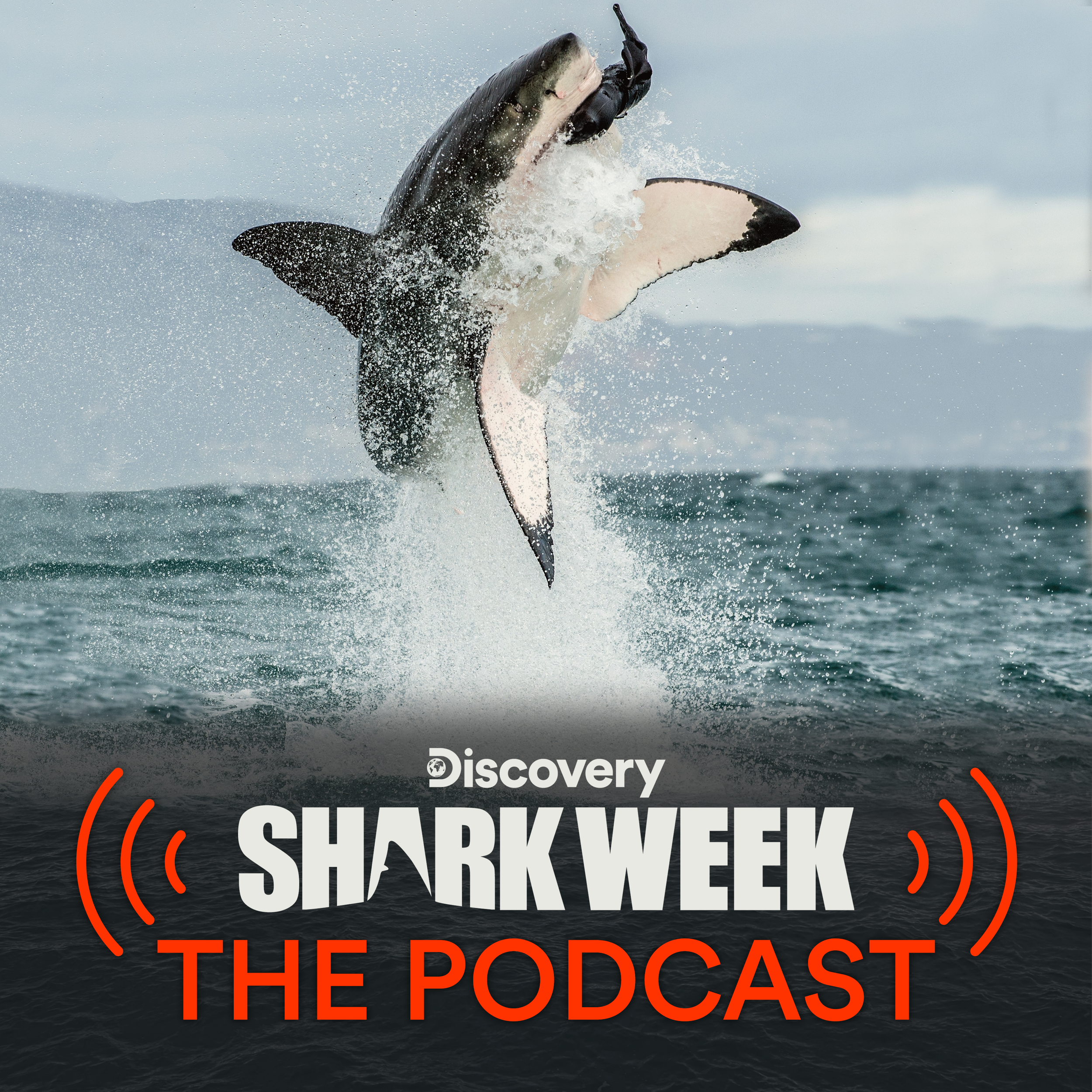 WBD_DISC - Shark Week Pod 2022_Tile - 3000x3000.png