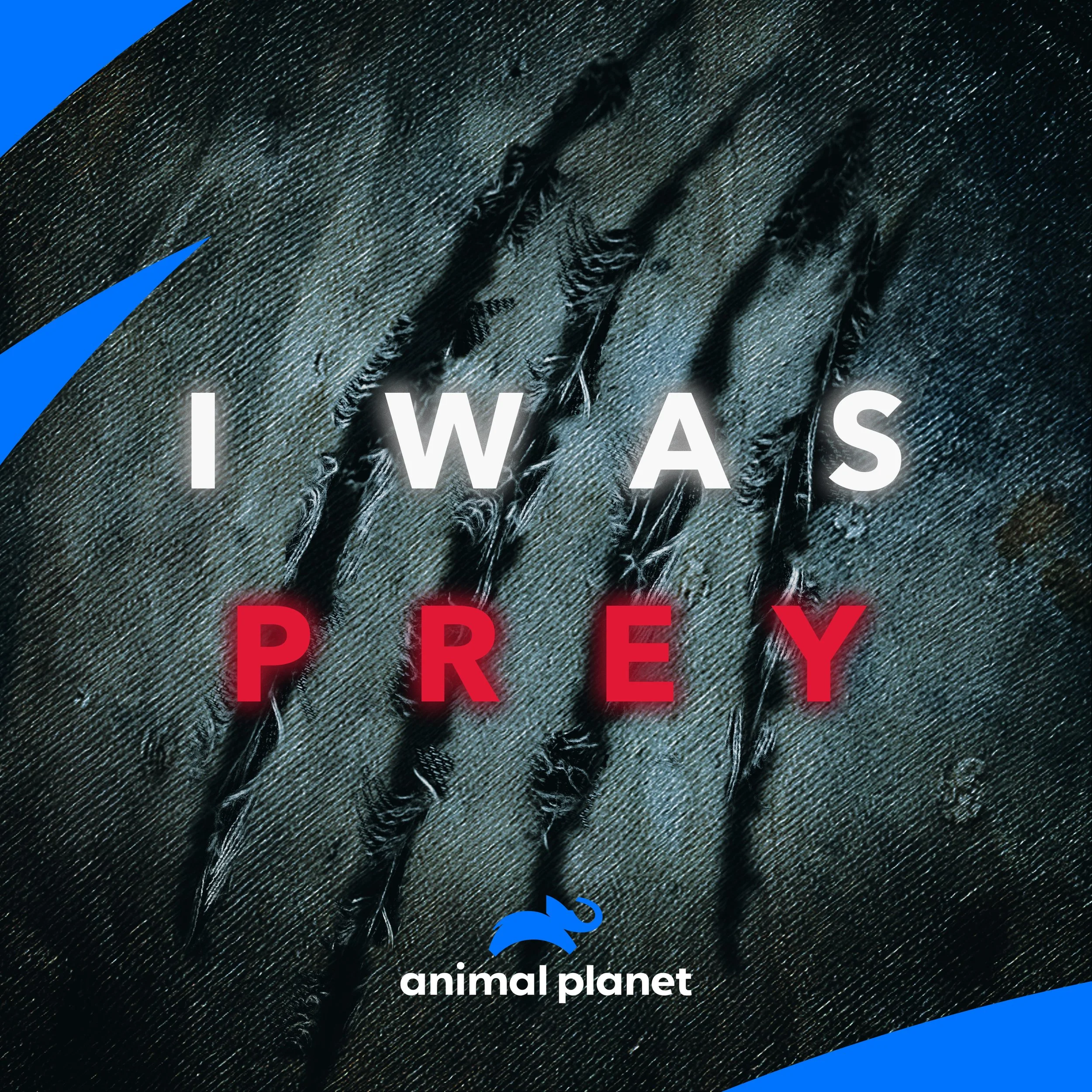 WBD_APLT - I Was Prey_Tile_3000x3000.jpg