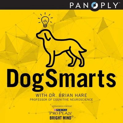 Purina-Panoply-DogSmarts_Tile.jpeg