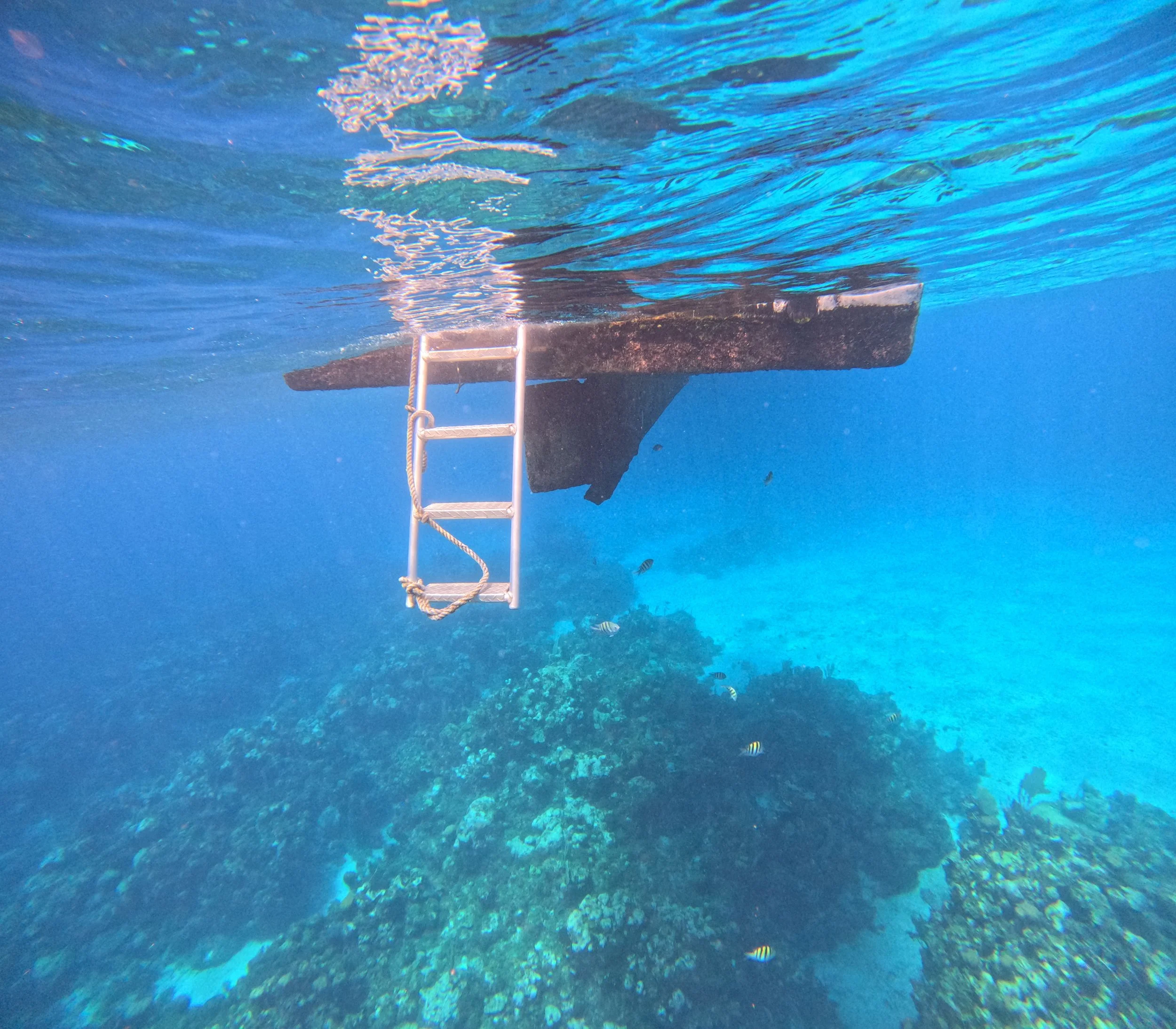 Sometimes we need help finding a way out from a deep place
