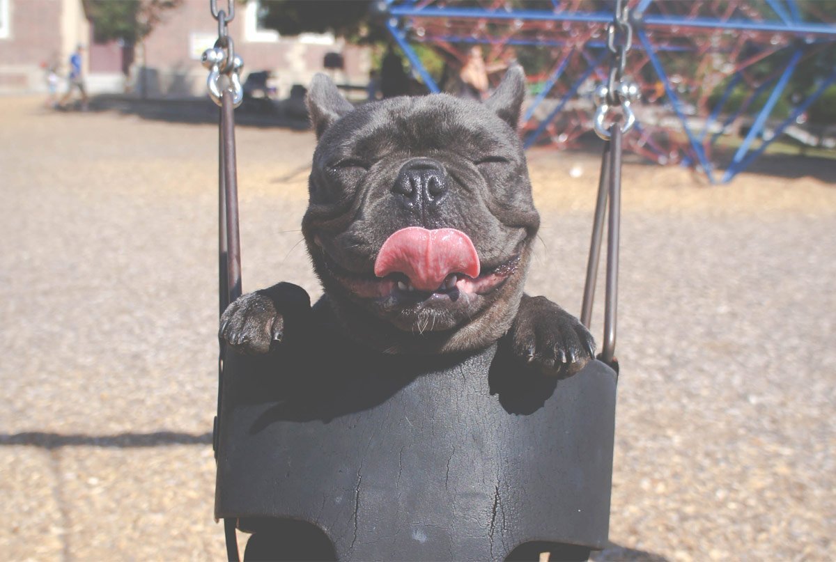 How To Add Personality To Your Brand