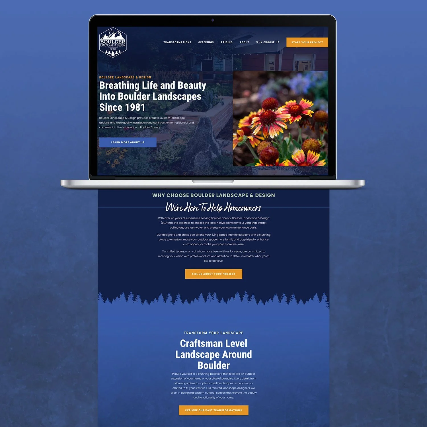 Free Wallpaper for January 2025 | Six Leaf Design | Freelance Graphic + Logo + Brand + Web Designer | Denver, Colorado