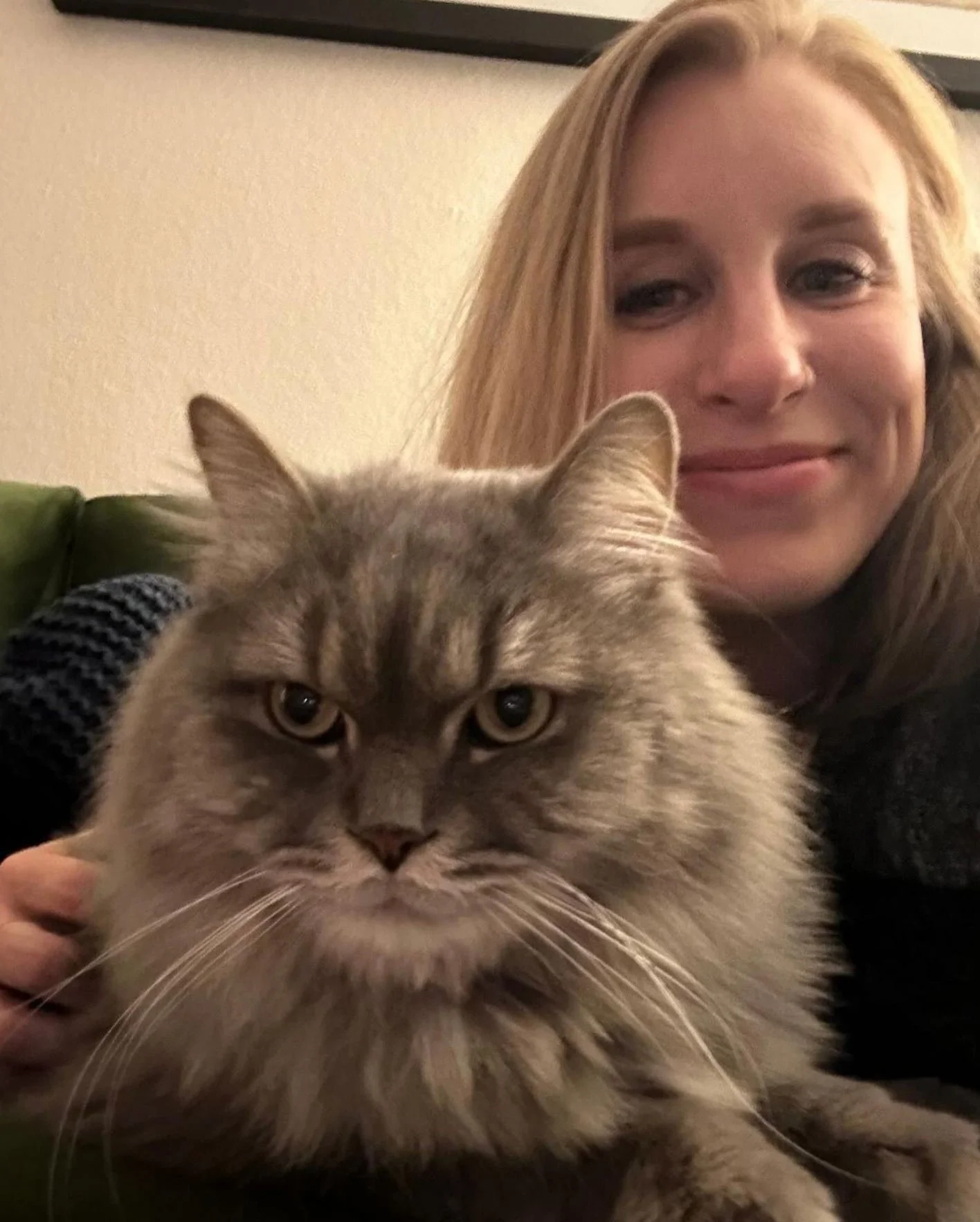 Free Wallpaper for September 2024 | Six Leaf Design | Freelance Graphic + Logo + Brand + Web Designer | Denver, Colorado